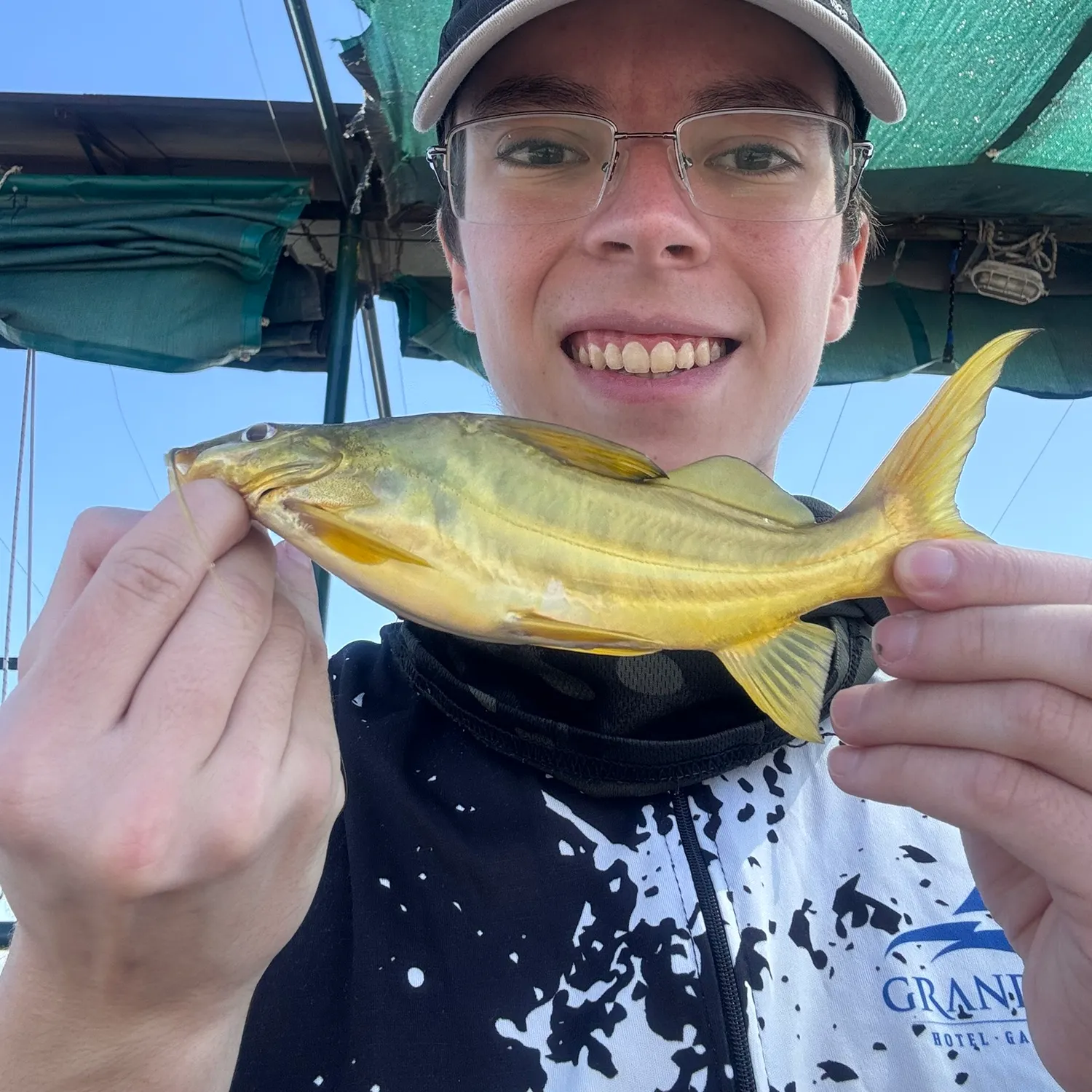 The most recent Spotted pimelodus catches on Fishbrain