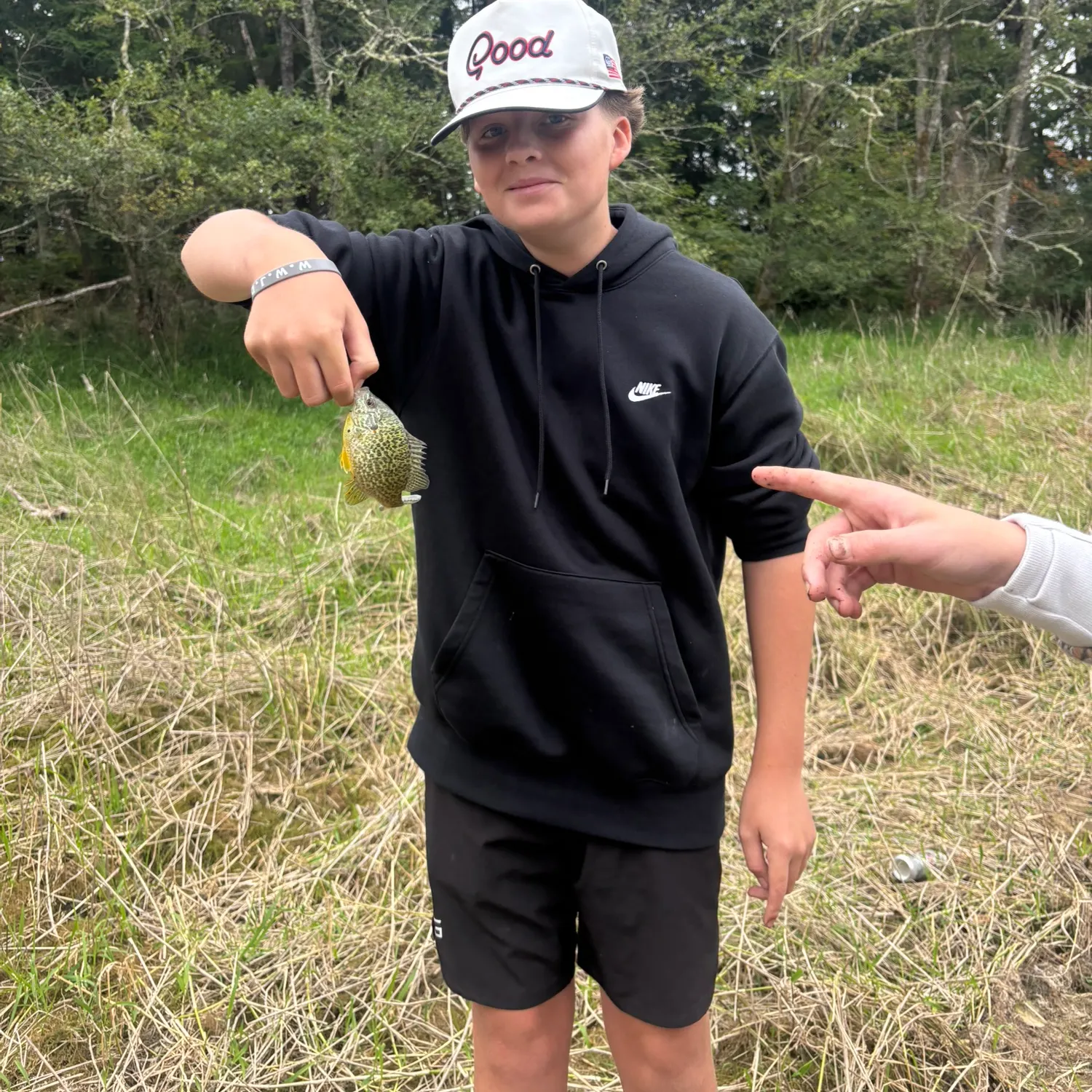 Pumpkinseed caught on Fishbrain