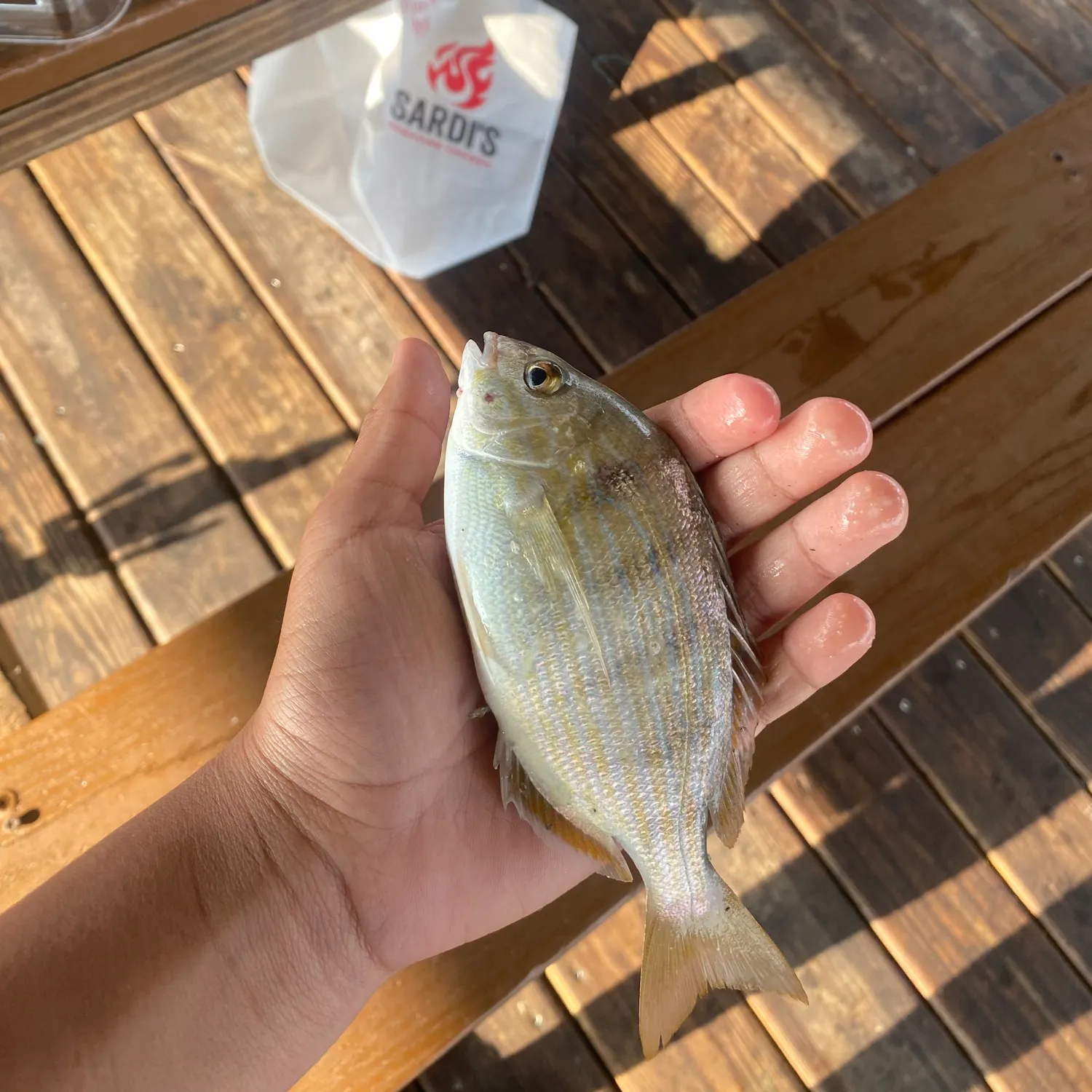 catch