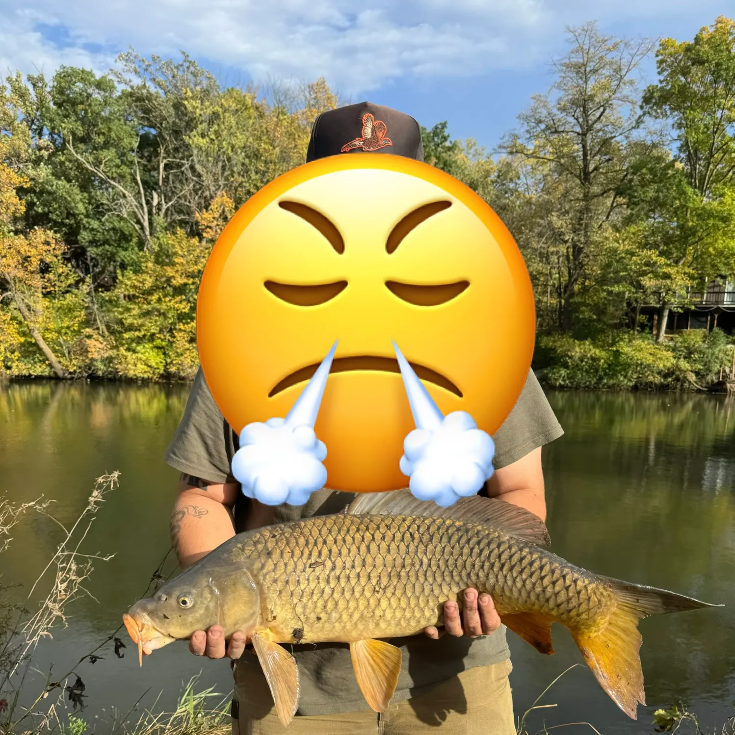 Common carp caught on Fishbrain