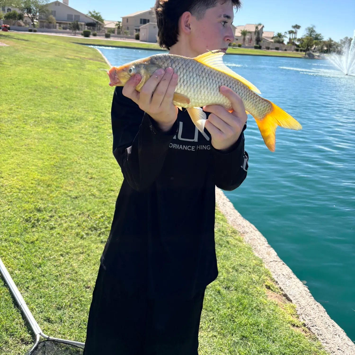 The most recent Ghost carp catches on Fishbrain