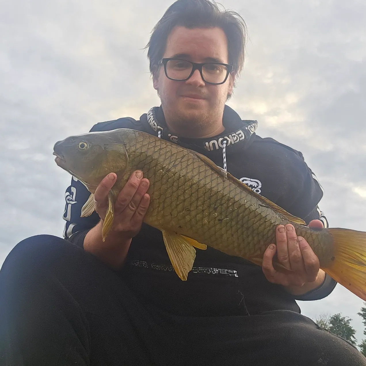 Common carp caught on Fishbrain