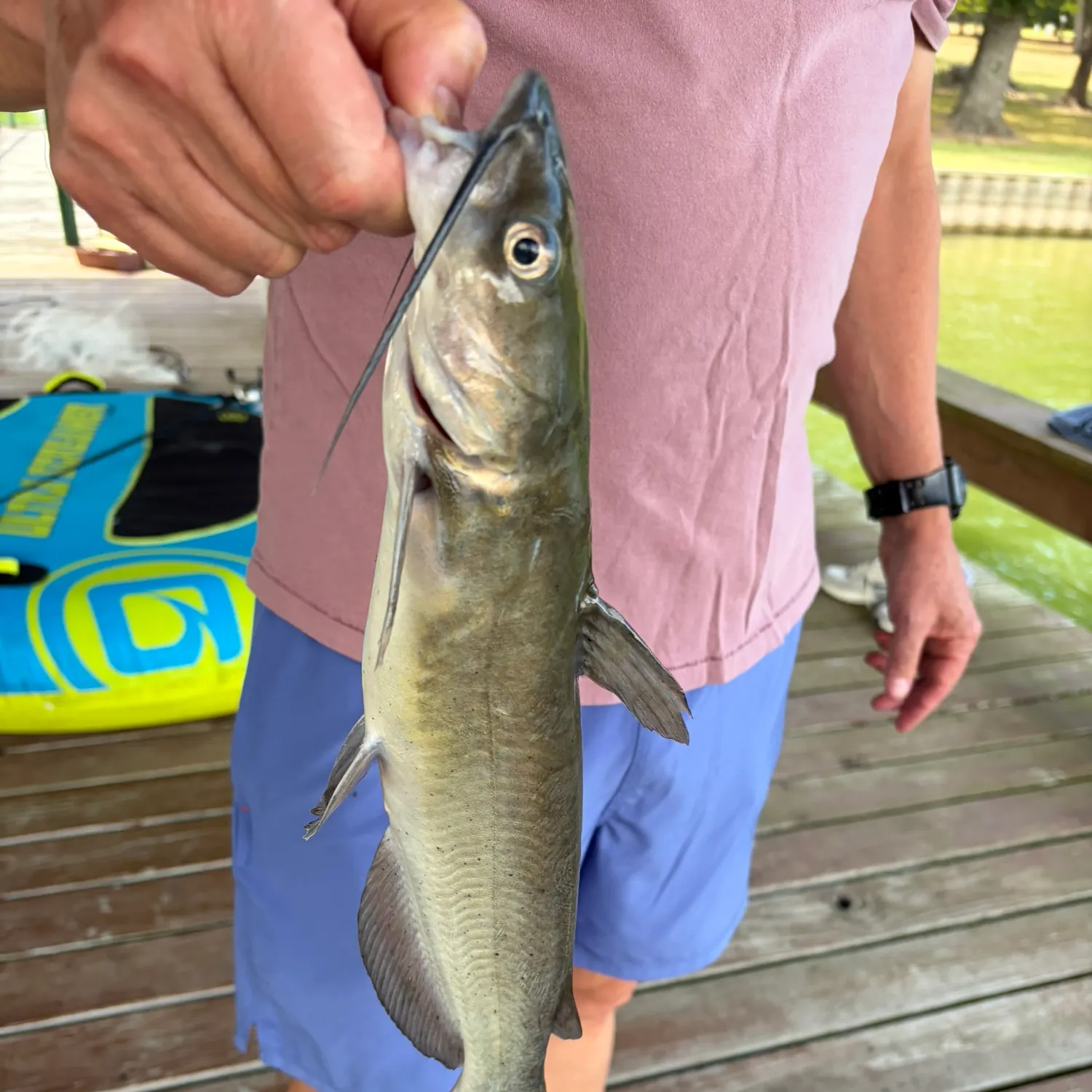 catch