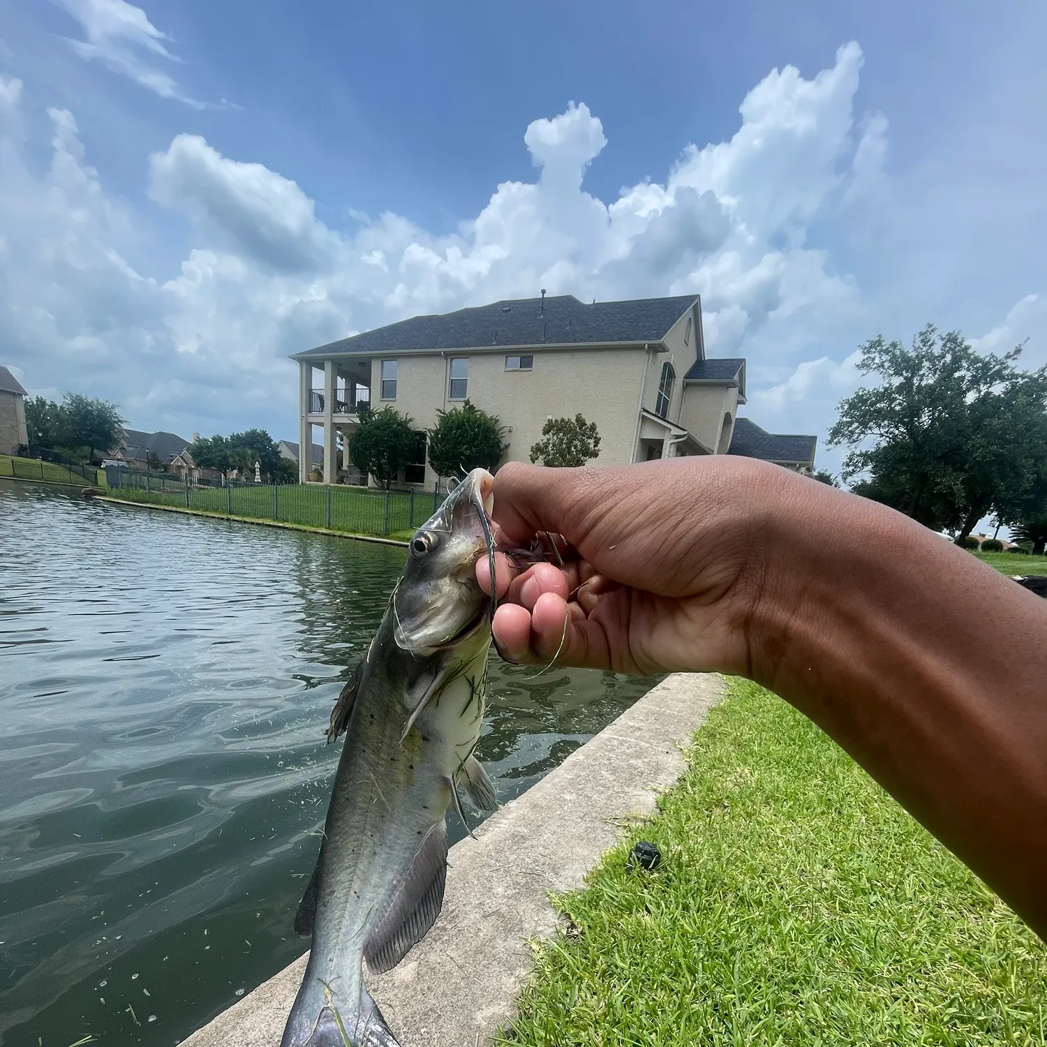 catch