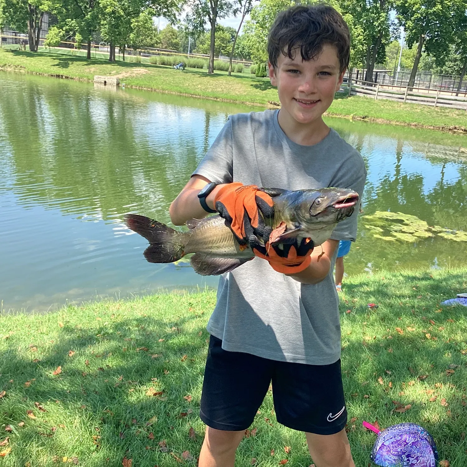 Channel catfish caught on Fishbrain