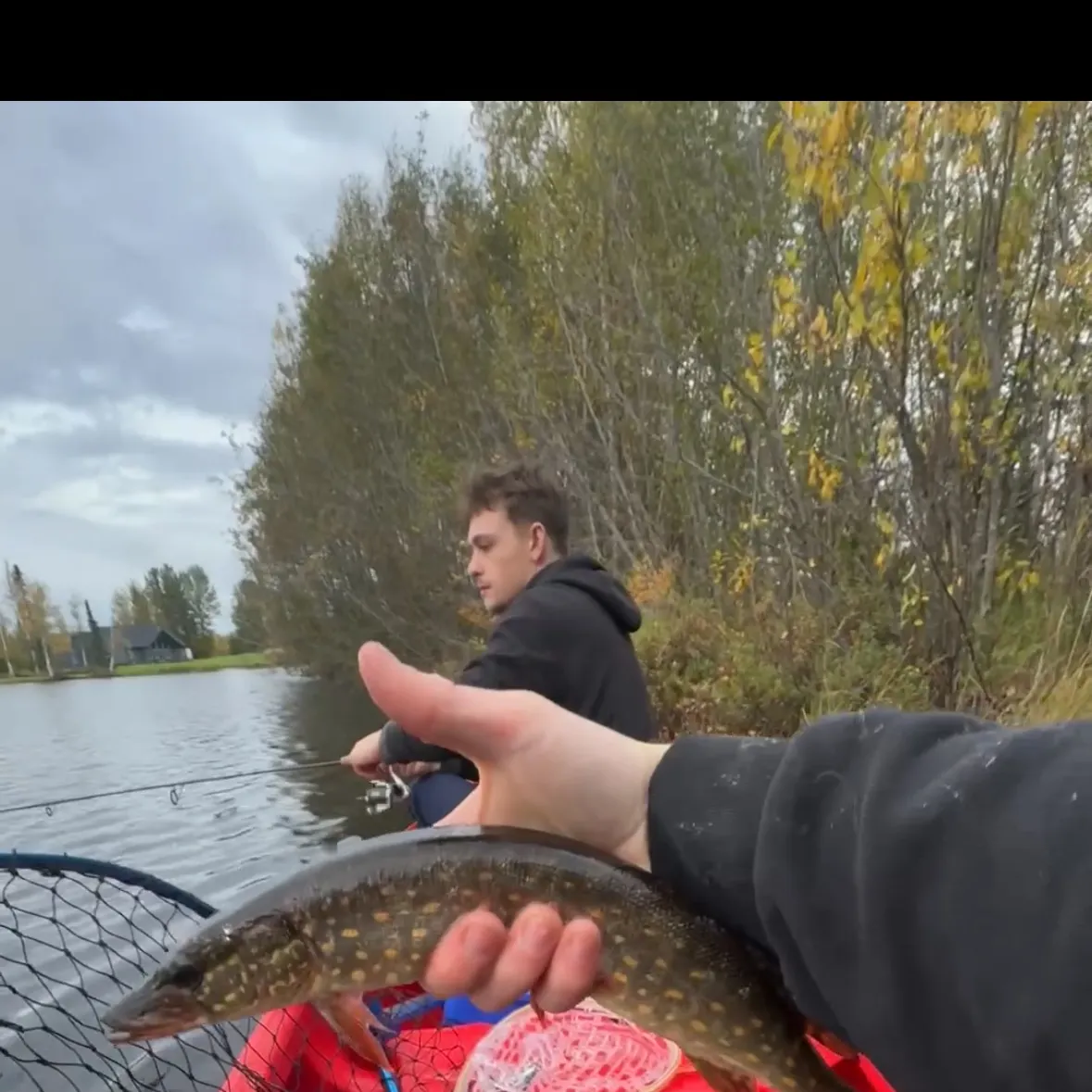 Northern pike caught on Fishbrain