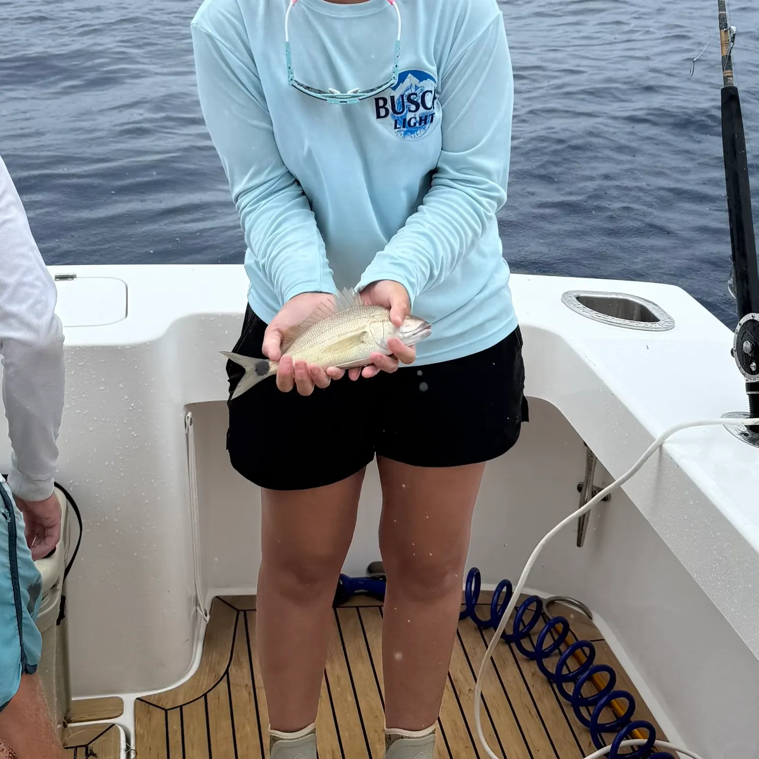 The most recent Tomtate grunt catches on Fishbrain
