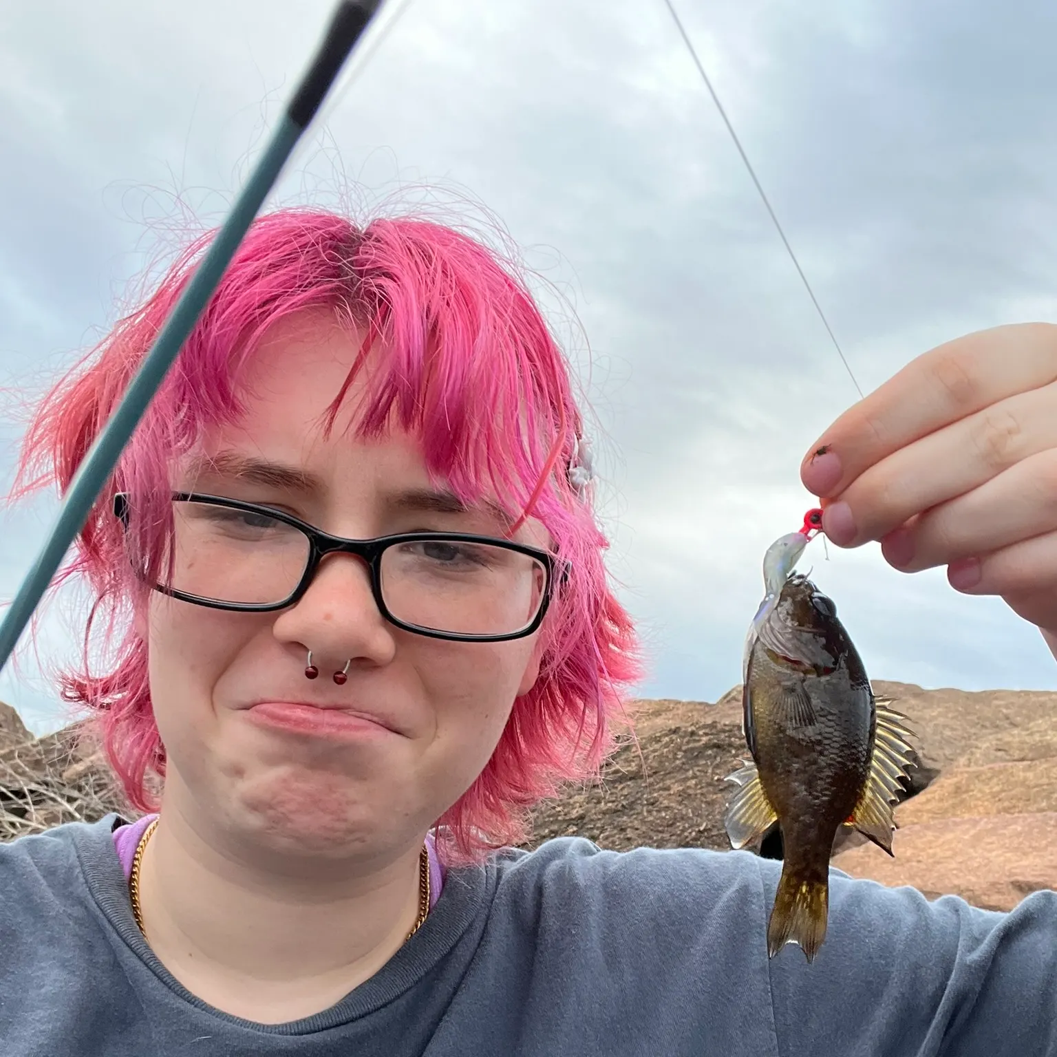 The most recent Warmouth catches on Fishbrain