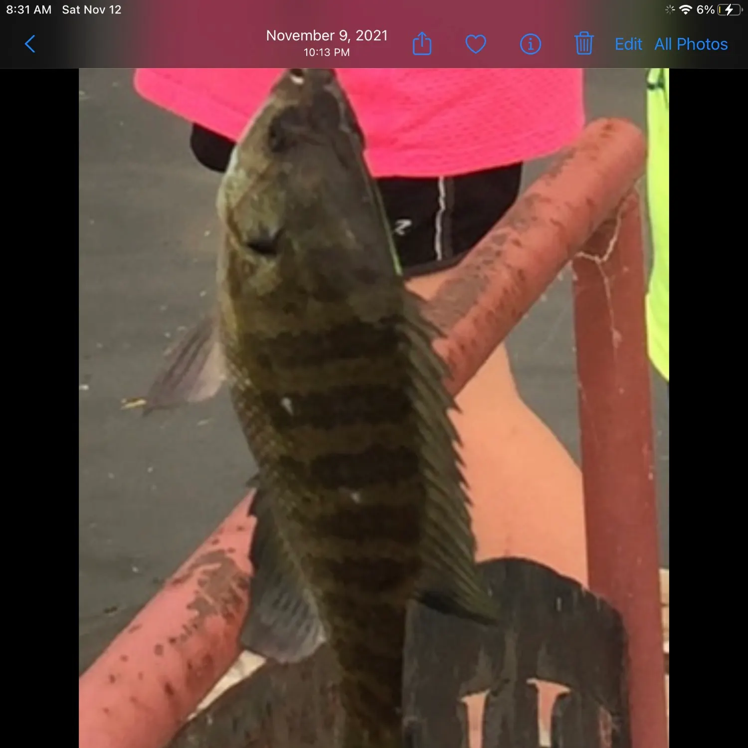 recently logged catches