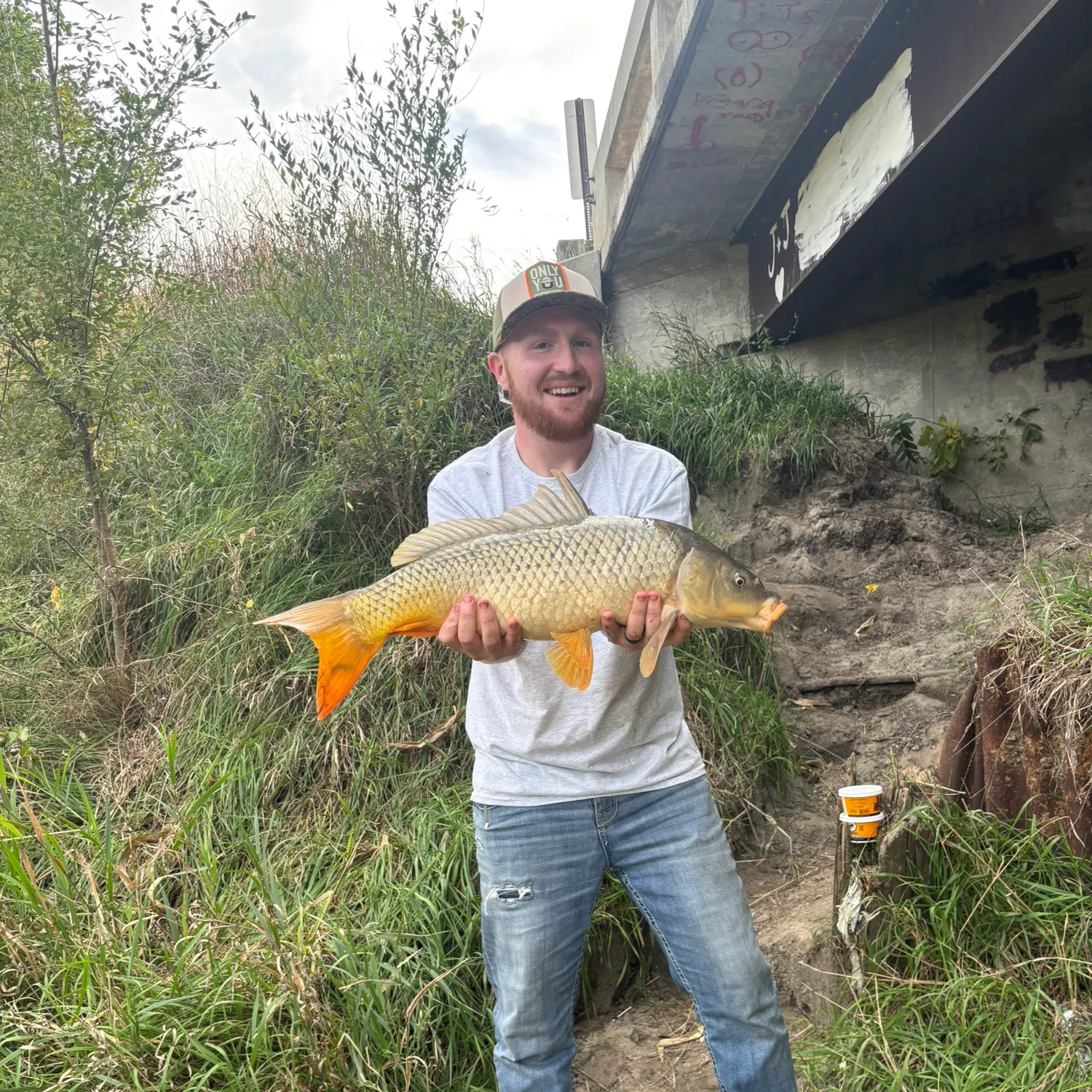 Common carp caught on Fishbrain