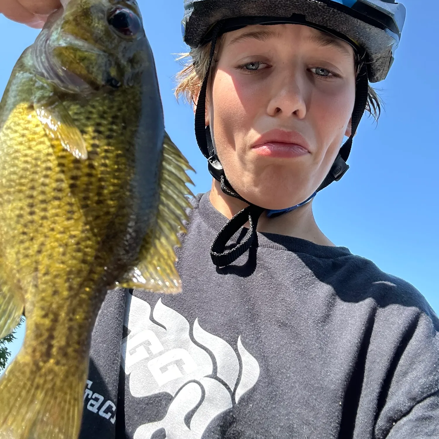 The most recent Island grouper catches on Fishbrain