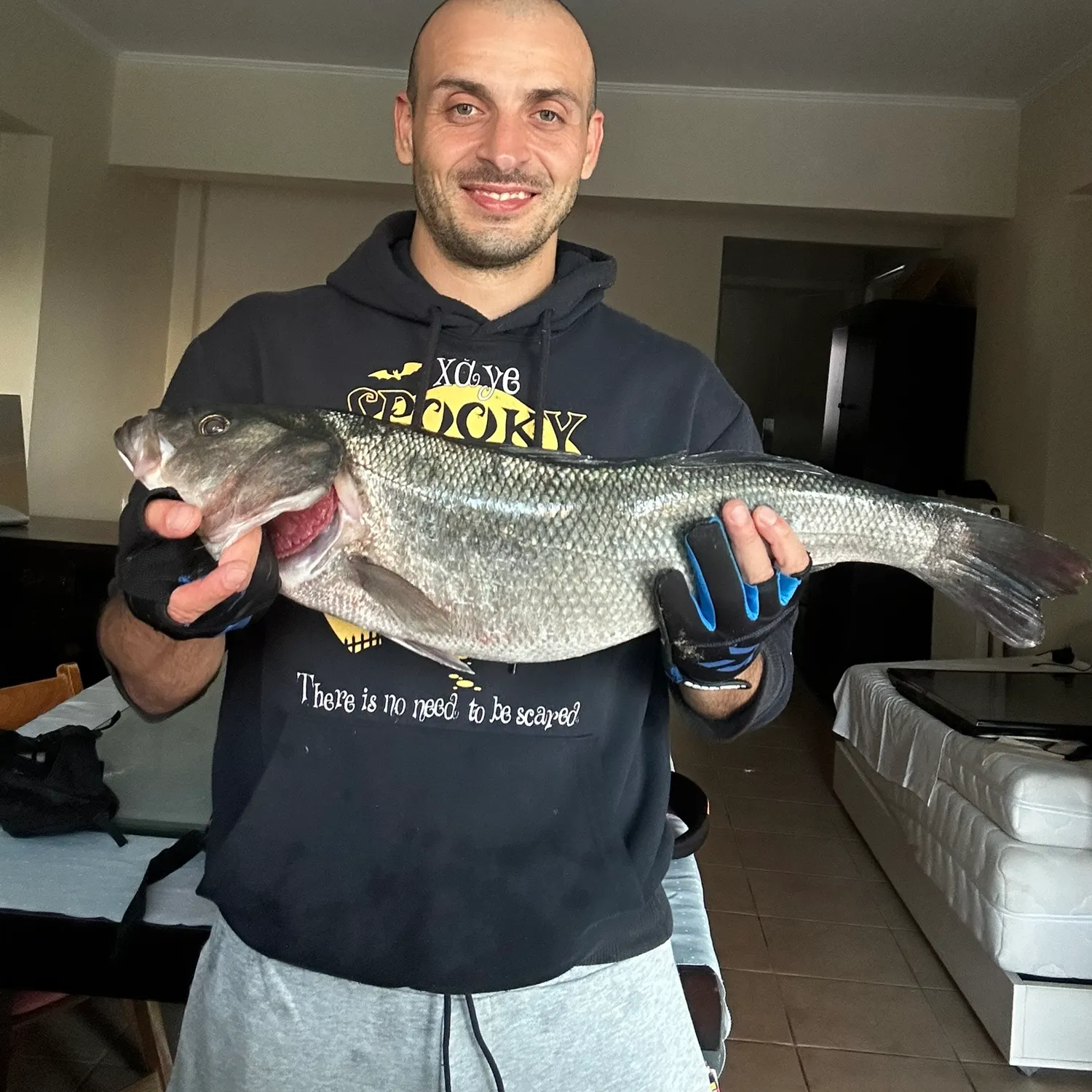 The most recent European seabass catches on Fishbrain