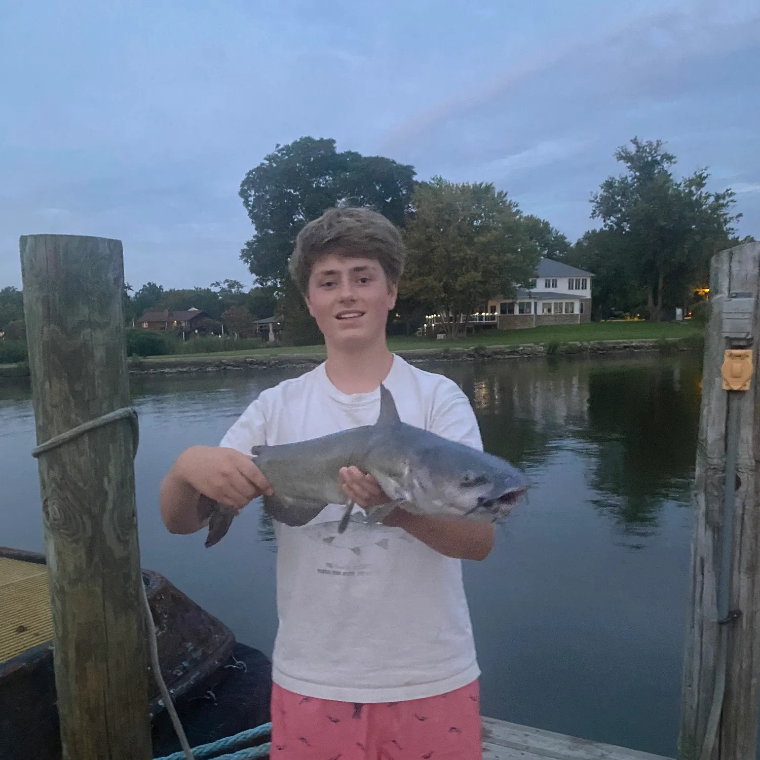 Channel catfish caught on Fishbrain