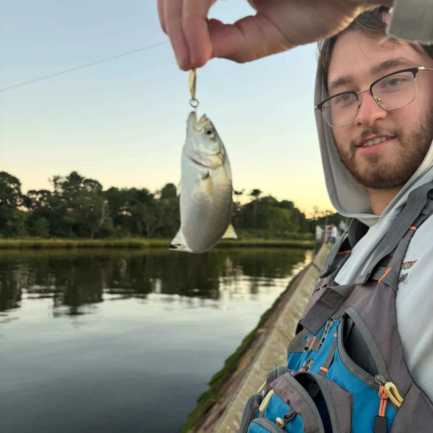 Bluefish caught on Fishbrain