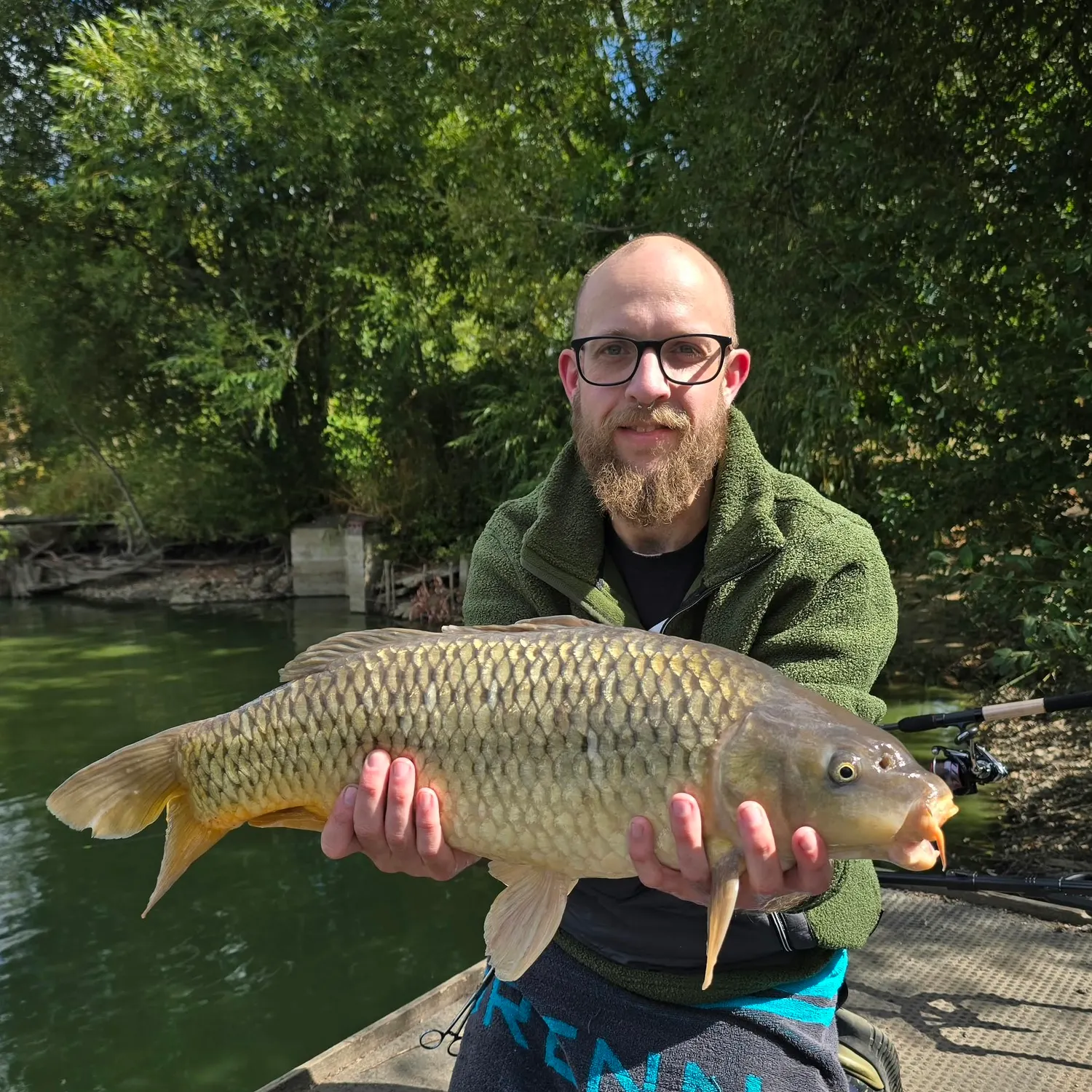 Common carp caught on Fishbrain