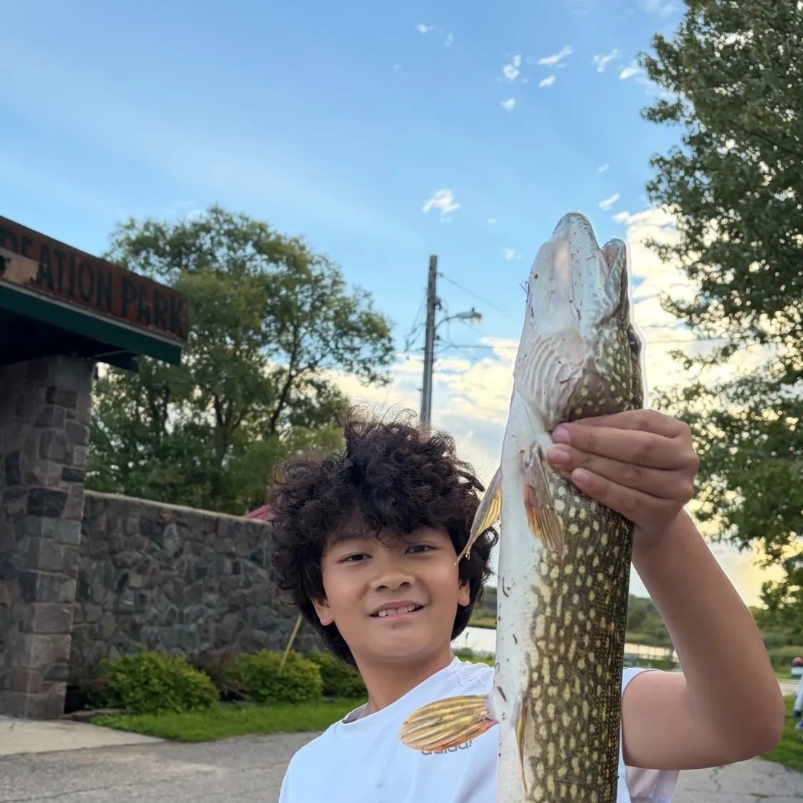 Northern pike caught on Fishbrain