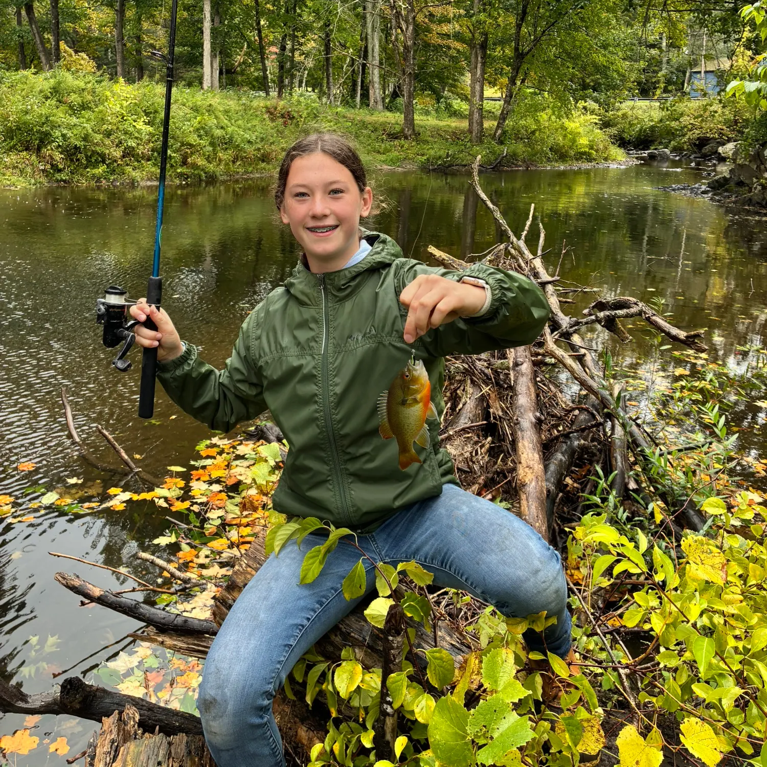 Bluegill caught on Fishbrain