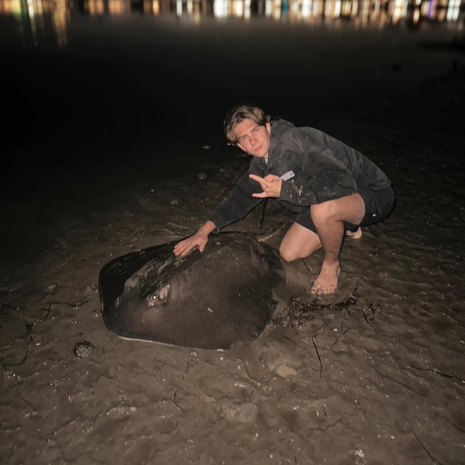 The most recent Diamond stingray catches on Fishbrain