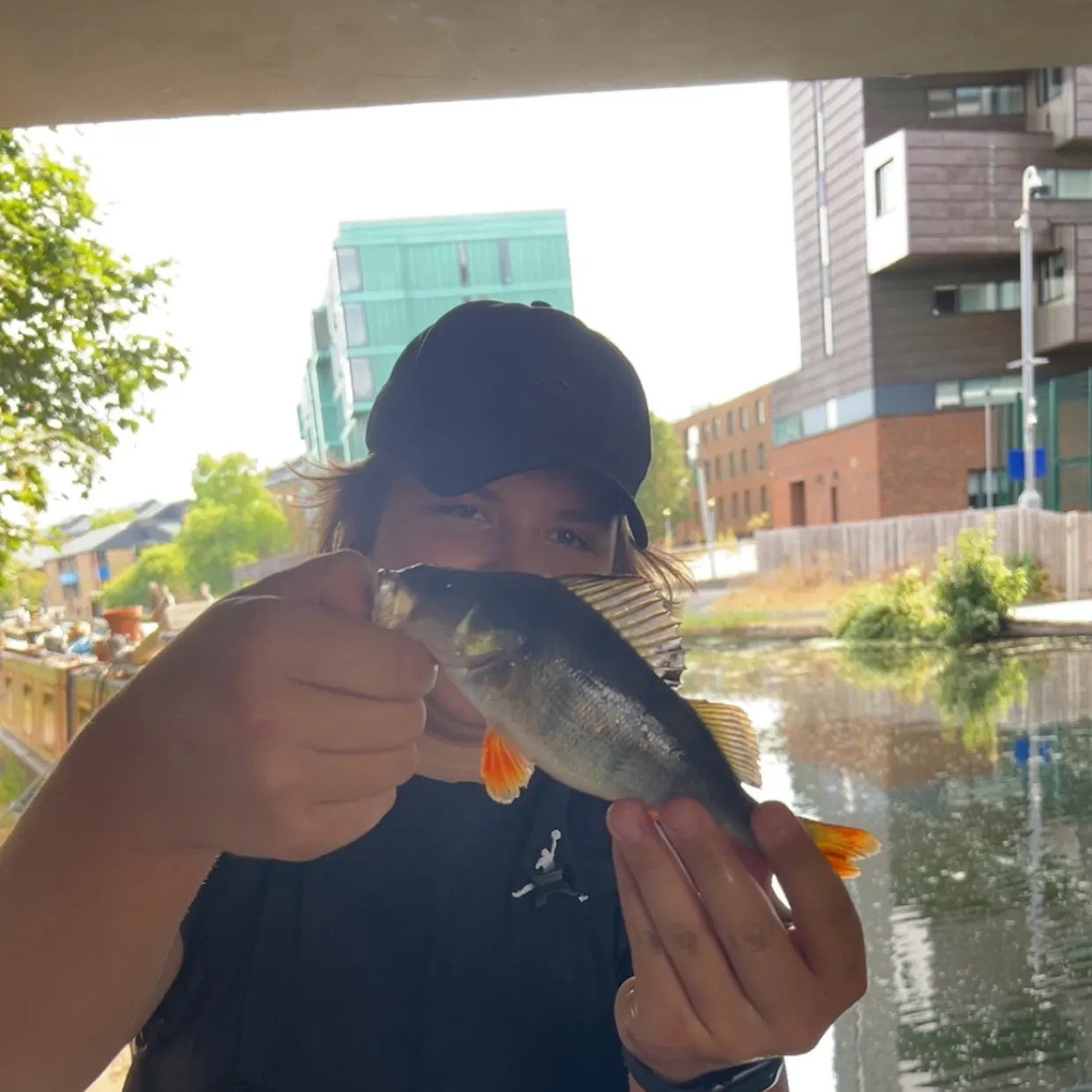 European perch caught on Fishbrain
