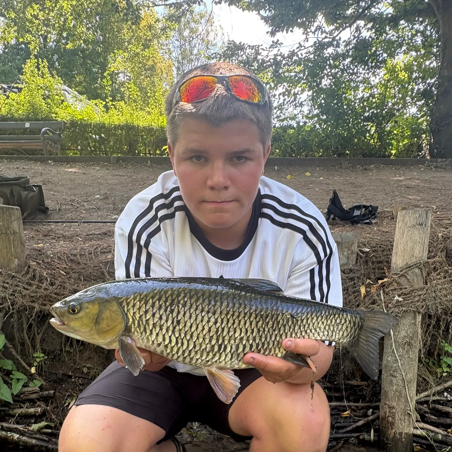 The most recent European chub catches on Fishbrain