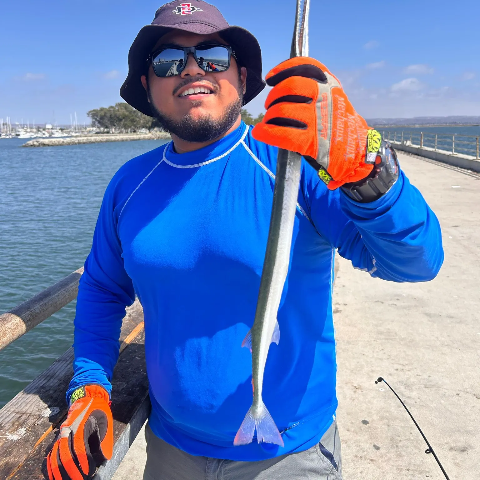 The most recent Flat needlefish catches on Fishbrain