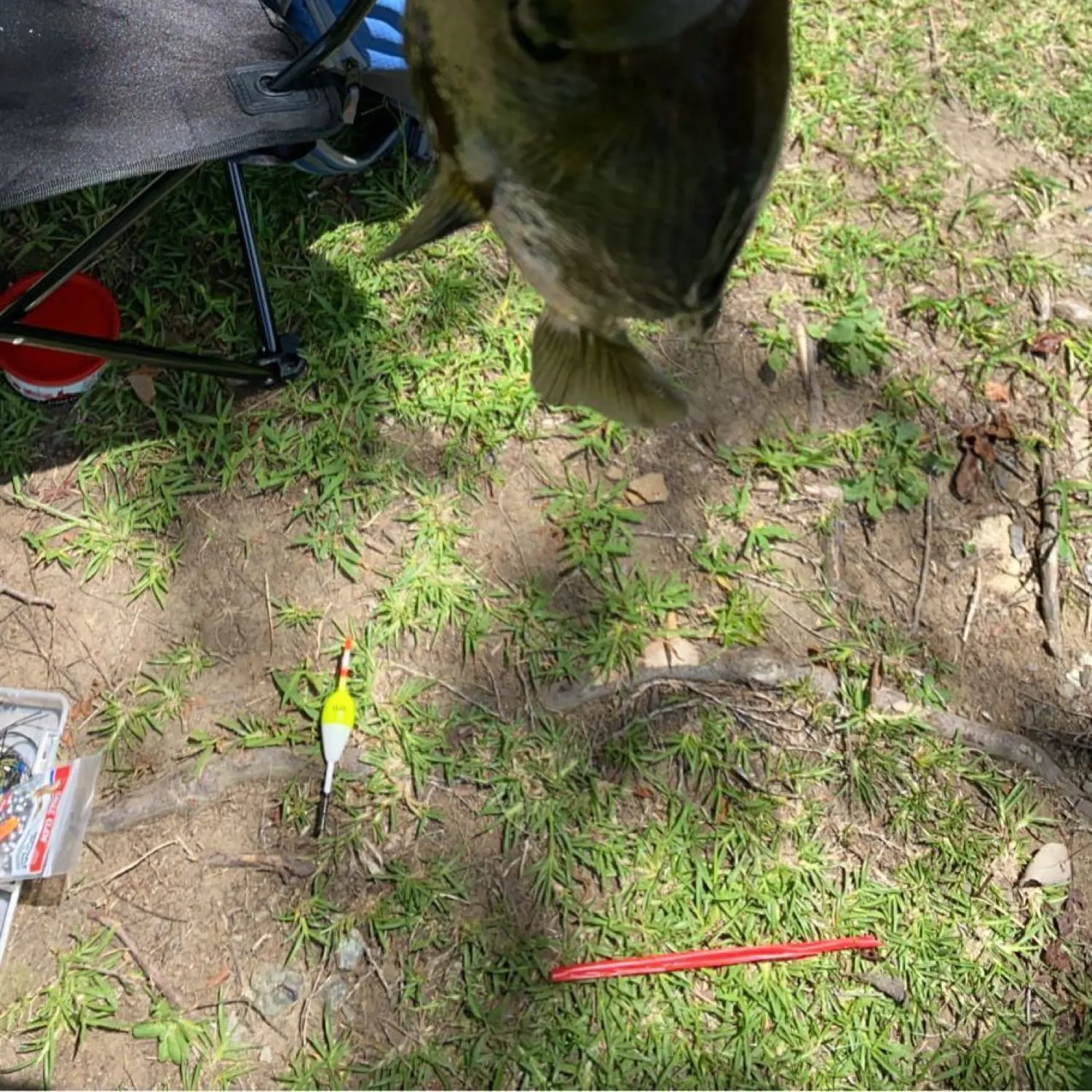 angler catch