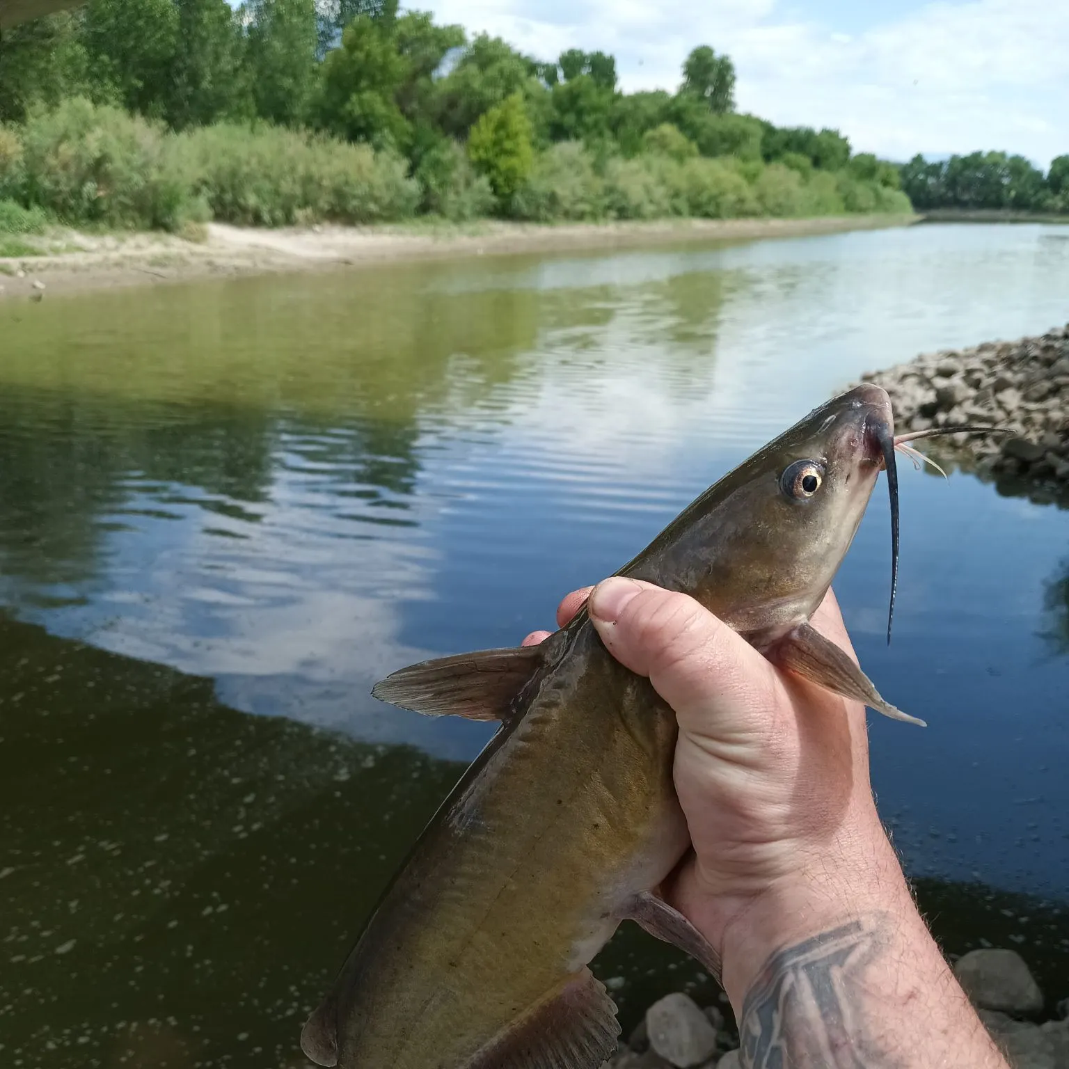 catch