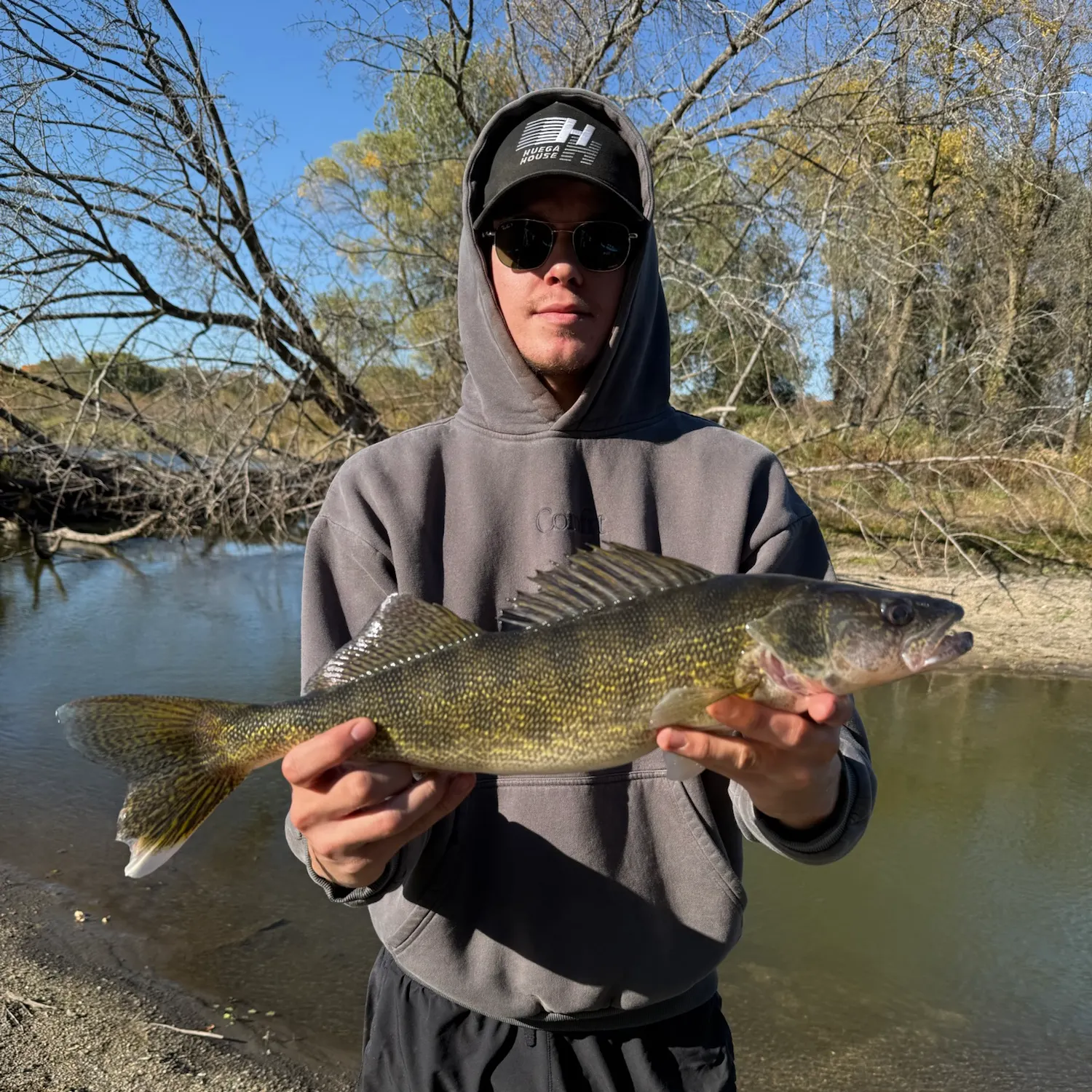 Walleye caught on Fishbrain