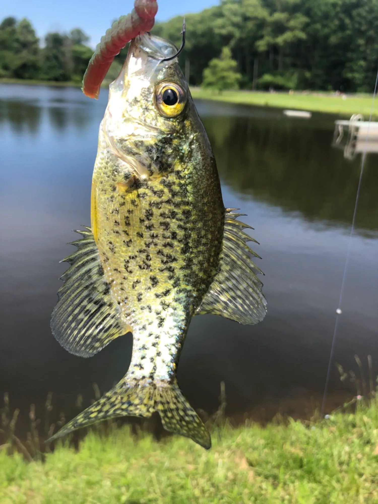 Post image from bradforsythe