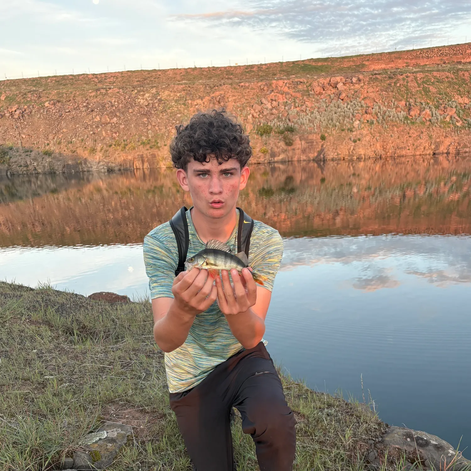 European perch caught on Fishbrain
