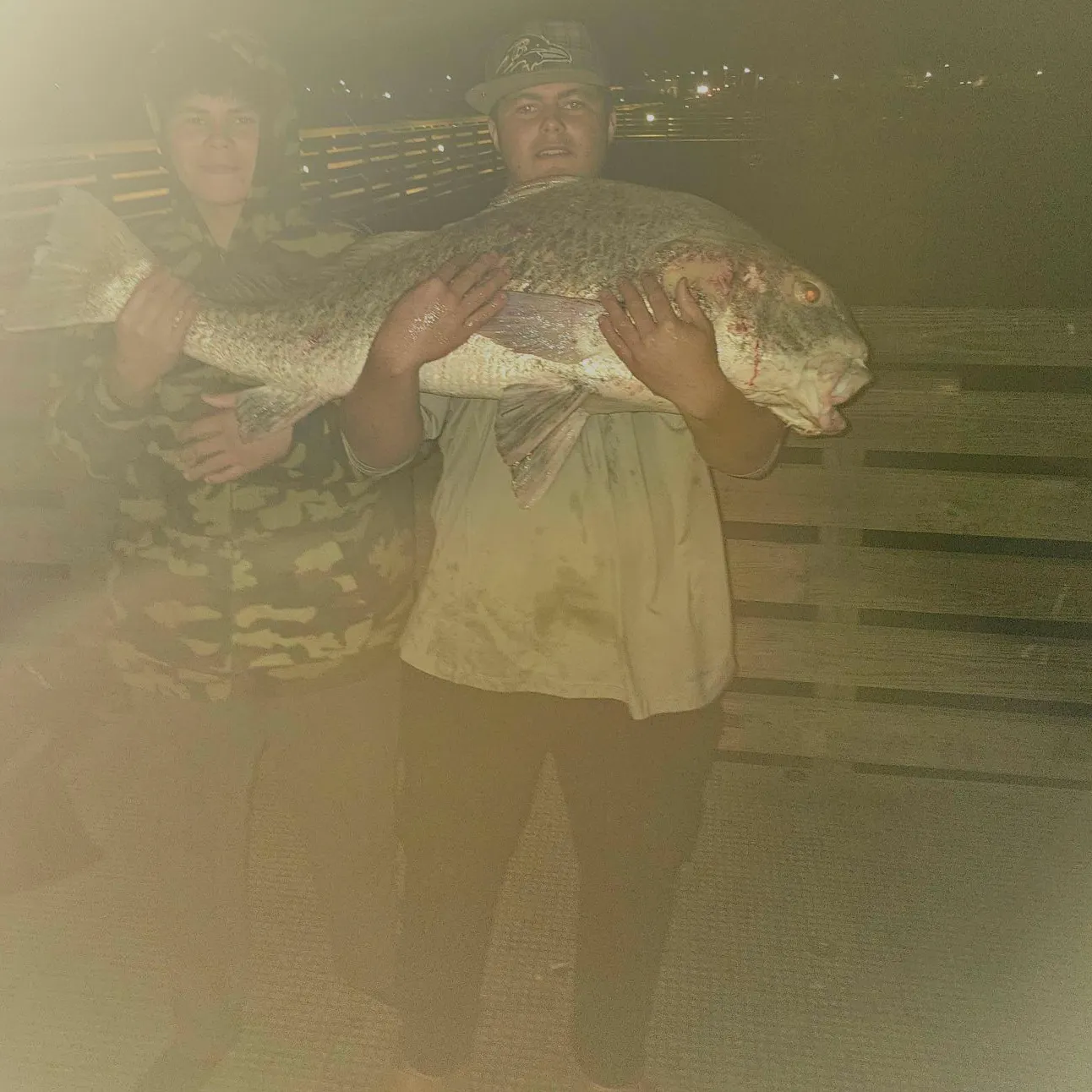 Black drum caught on Fishbrain