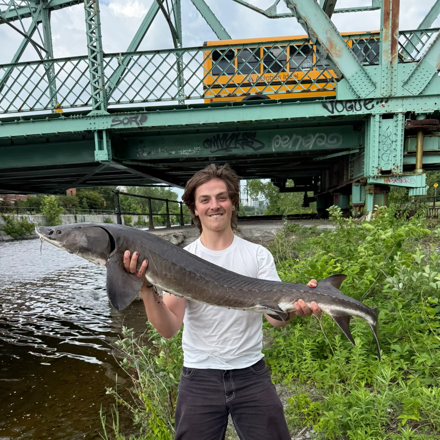 The most recent Lake sturgeon catches on Fishbrain