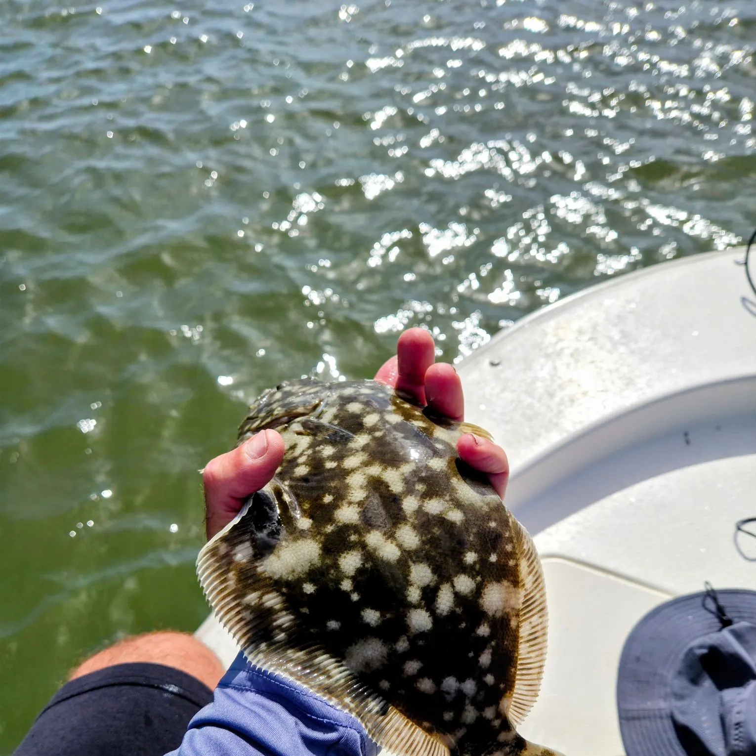 The most recent Southern flounder catches on Fishbrain