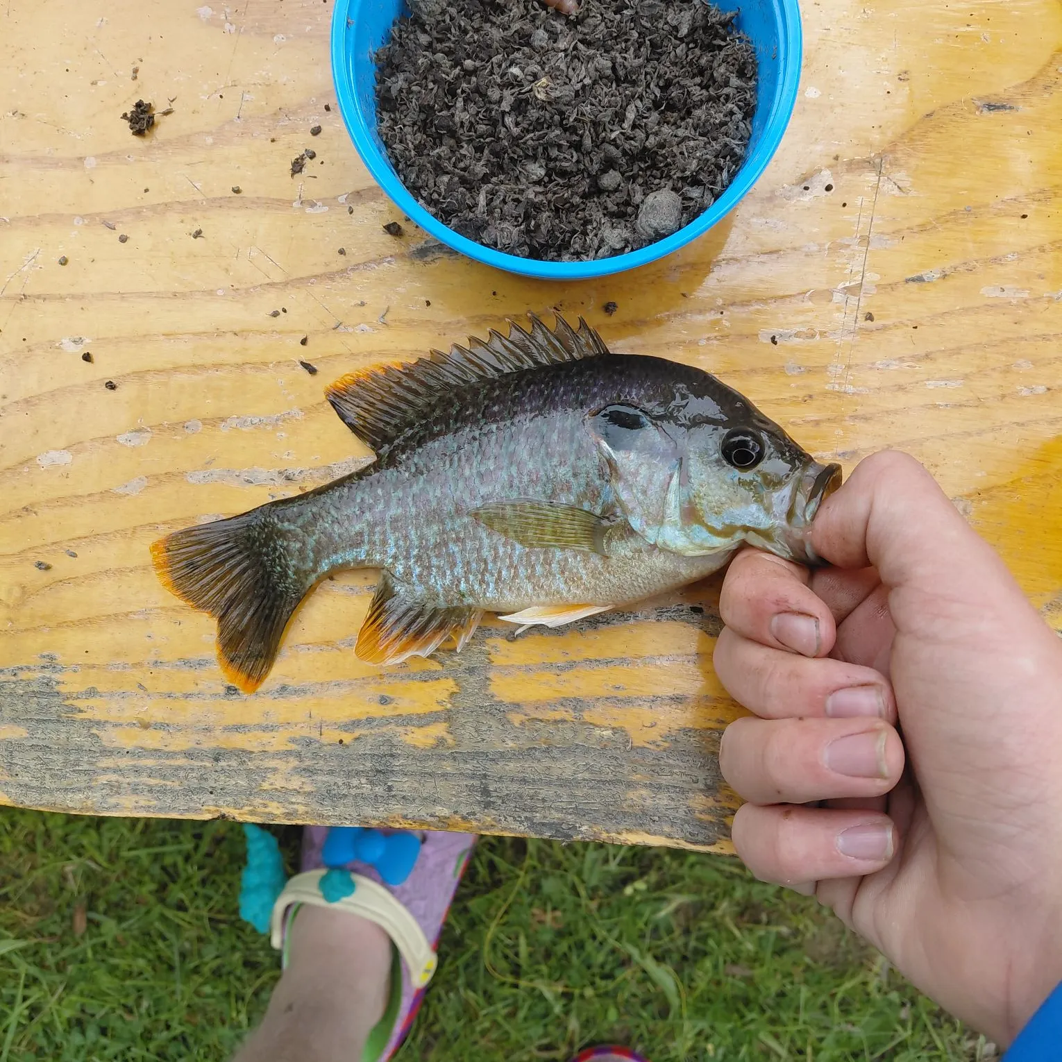 catch