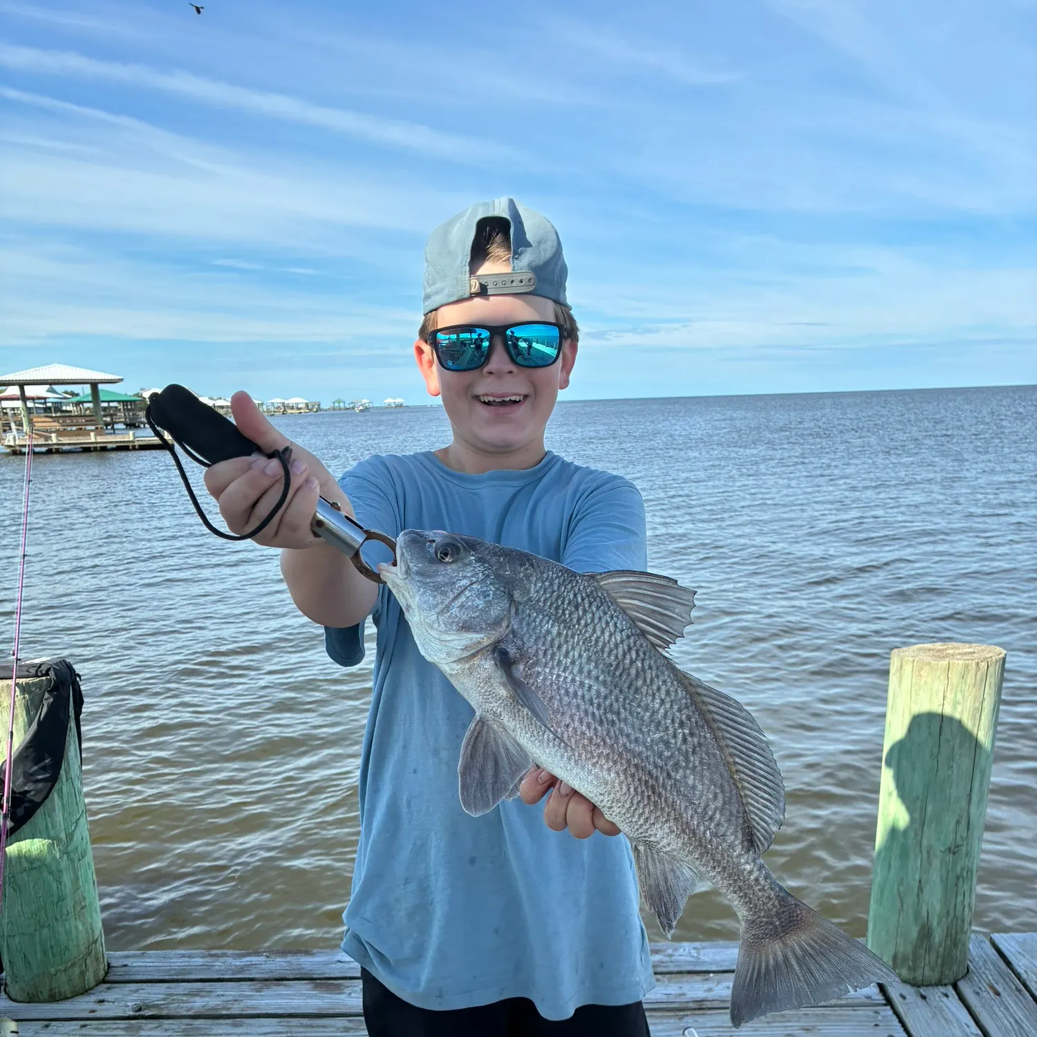 Black drum caught on Fishbrain