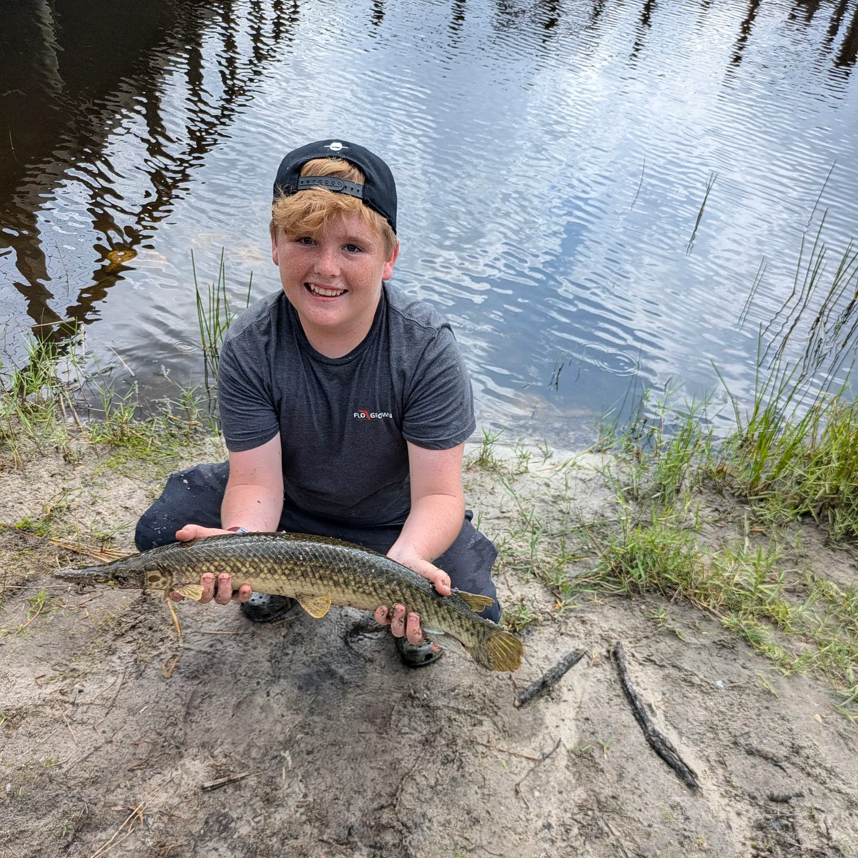 The most recent Spotted gar catches on Fishbrain