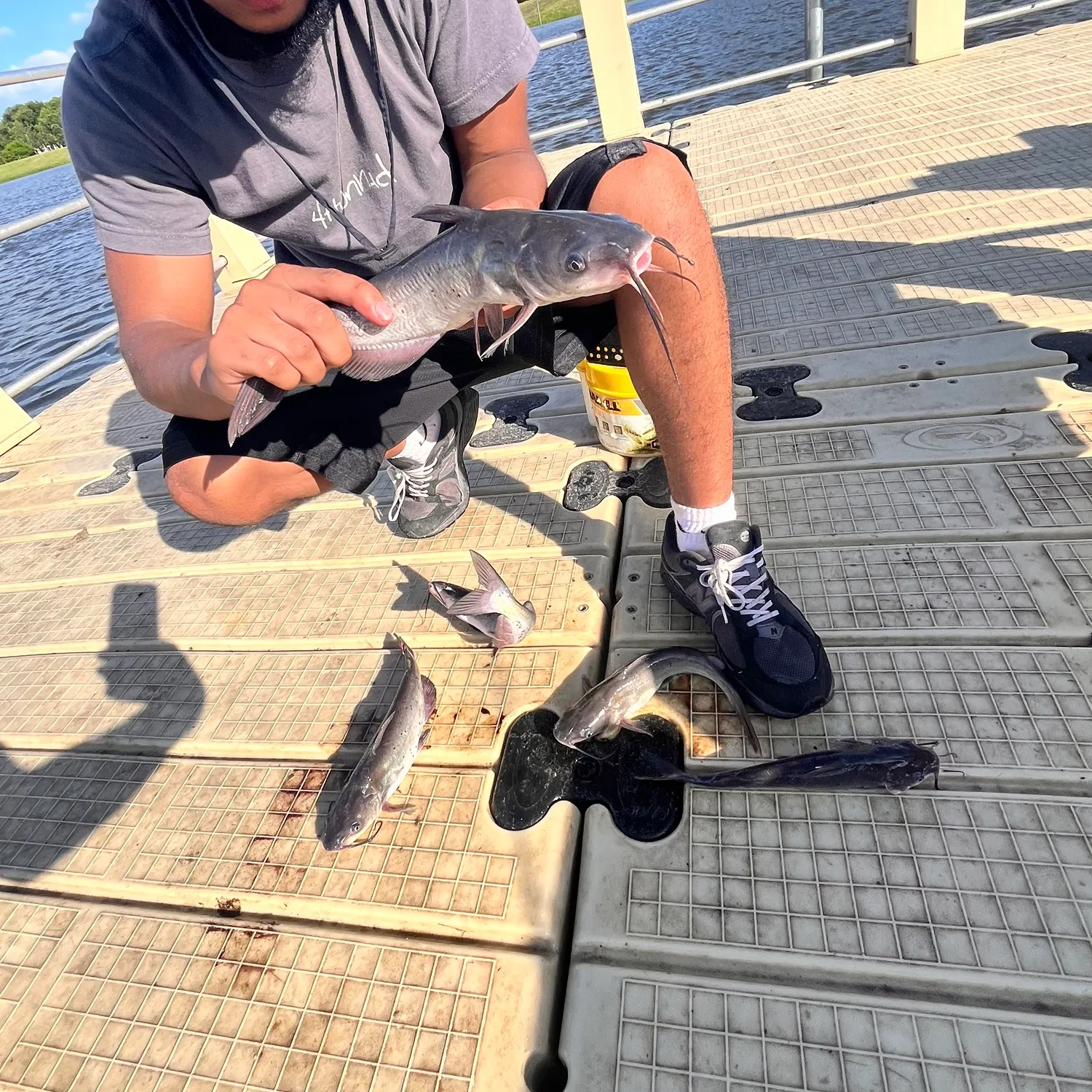 catch
