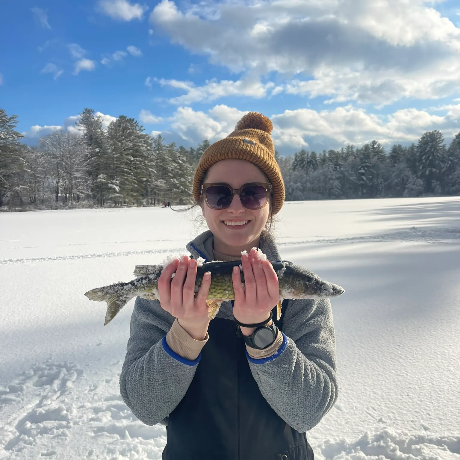 The most recent Chain pickerel catches on Fishbrain