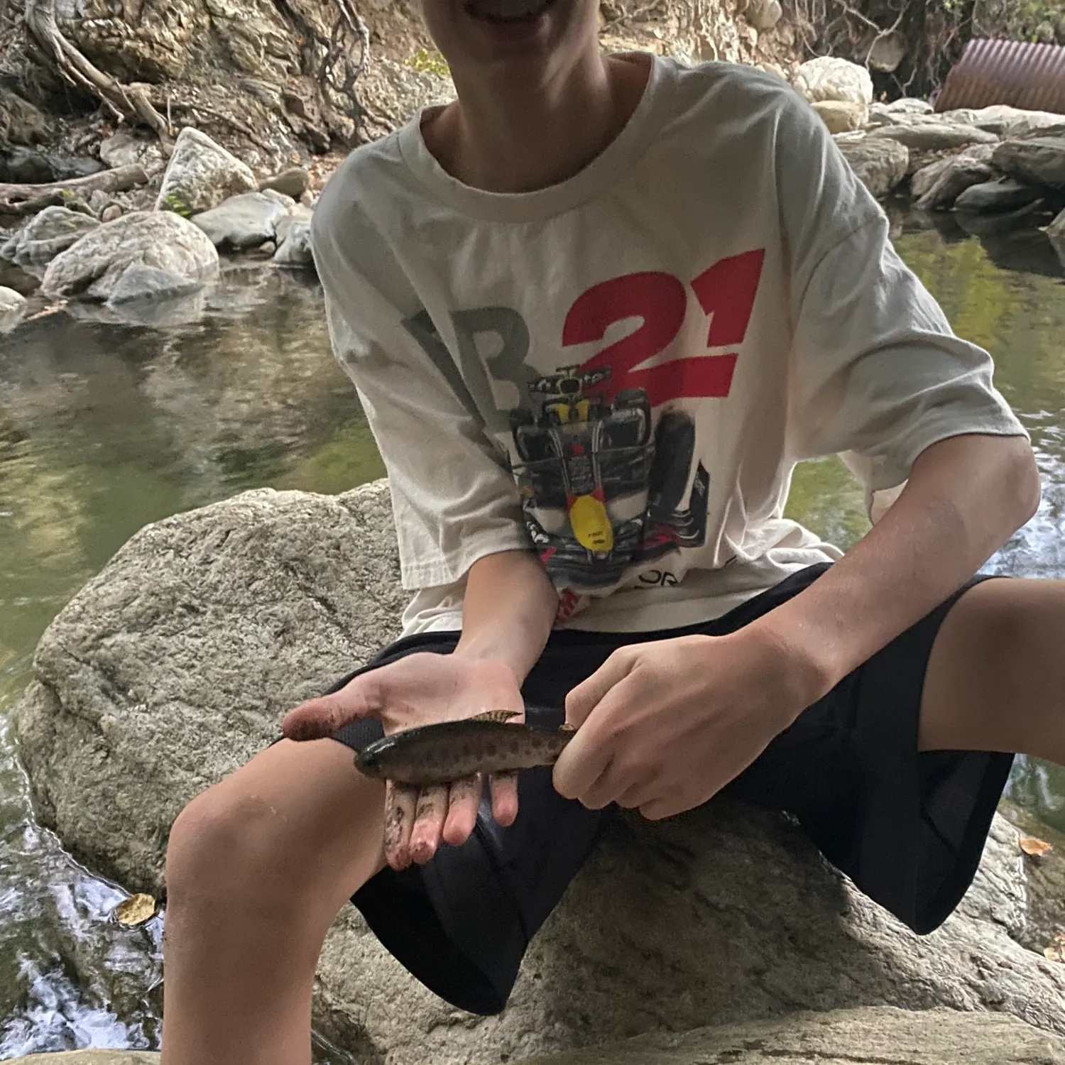 Rainbow trout caught on Fishbrain
