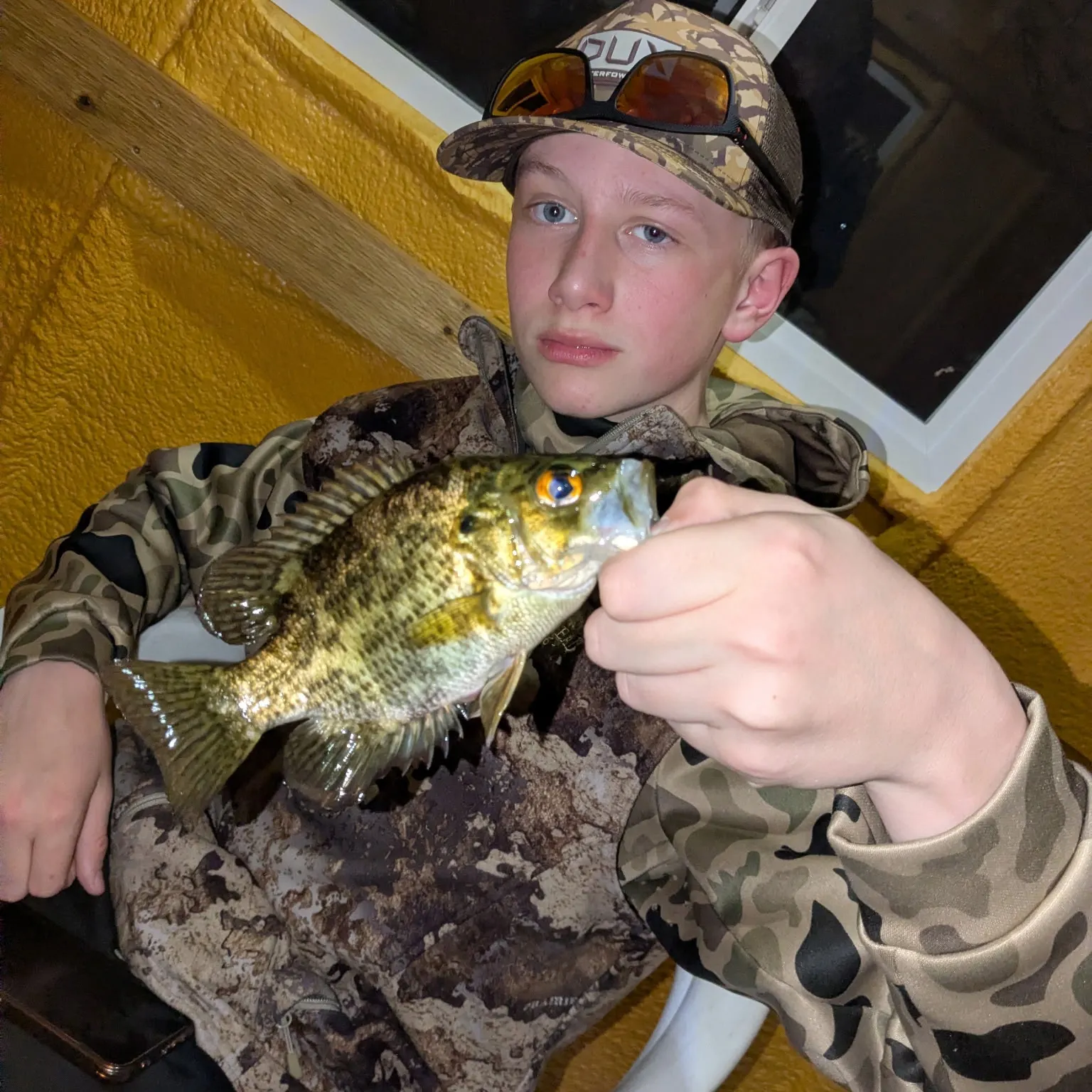 The most recent Rock bass catches on Fishbrain