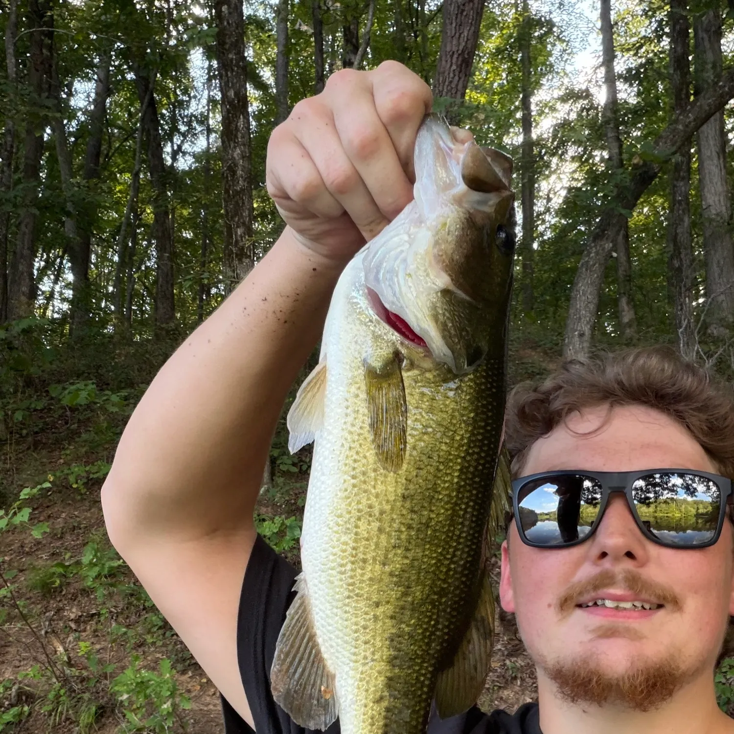 Largemouth bass caught on Fishbrain