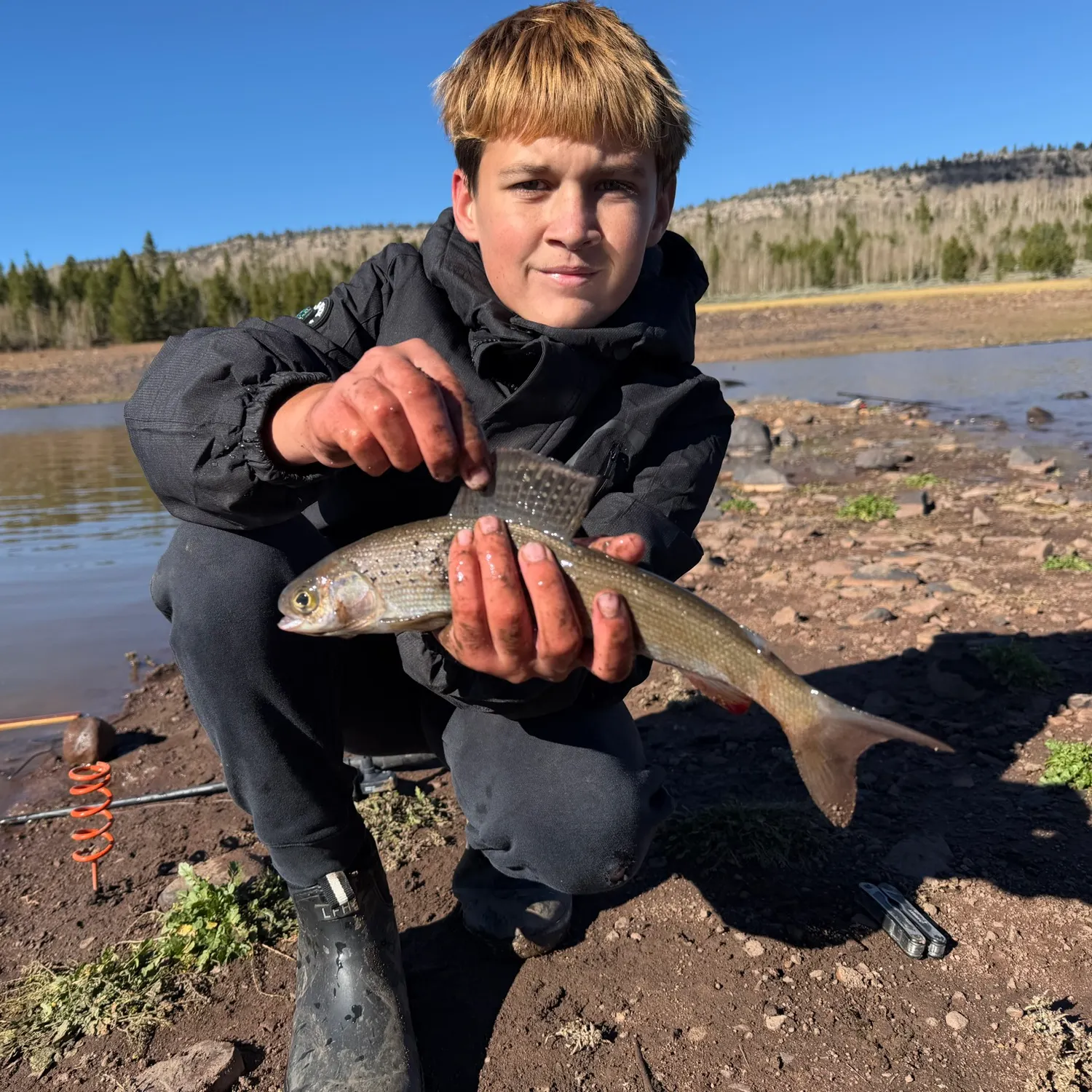 Arctic grayling caught on Fishbrain