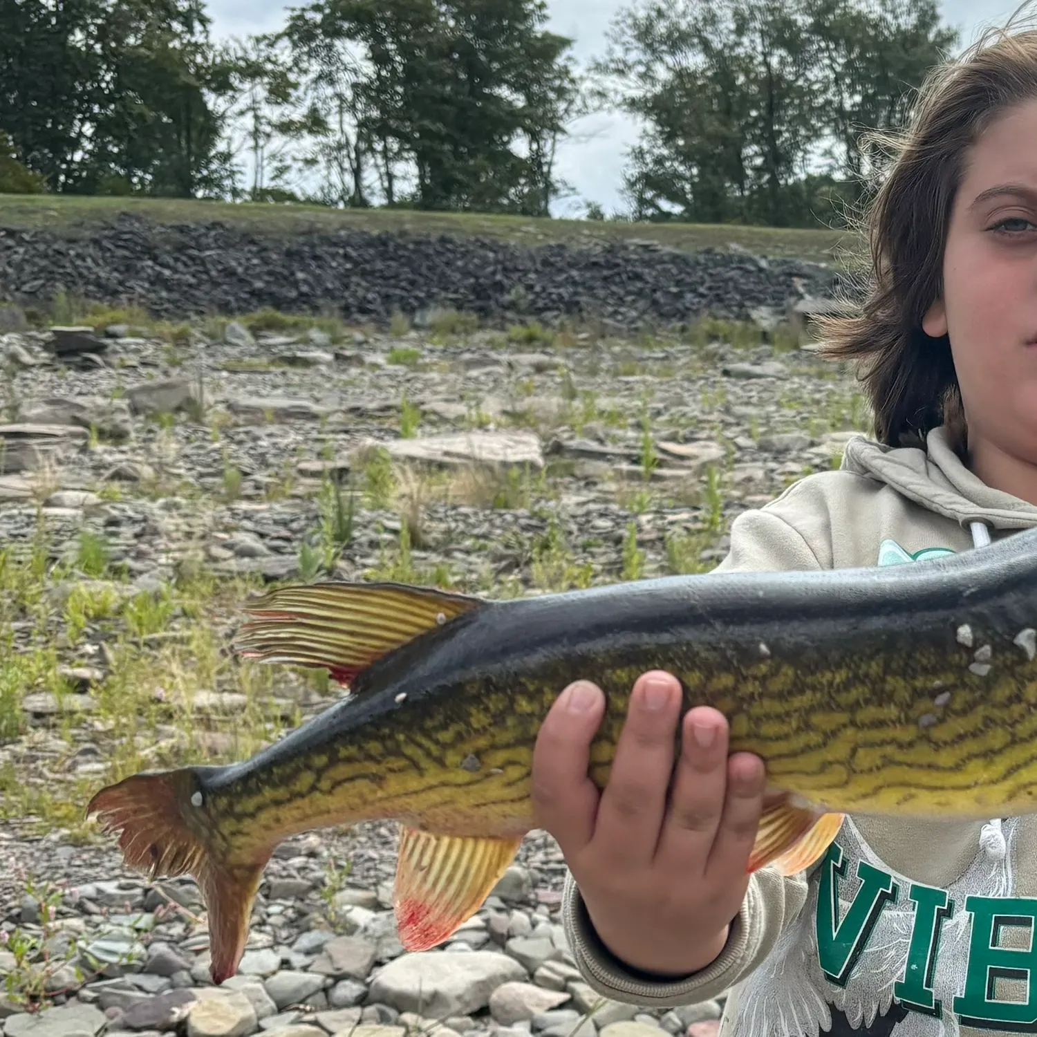 The most recent Chain pickerel catches on Fishbrain
