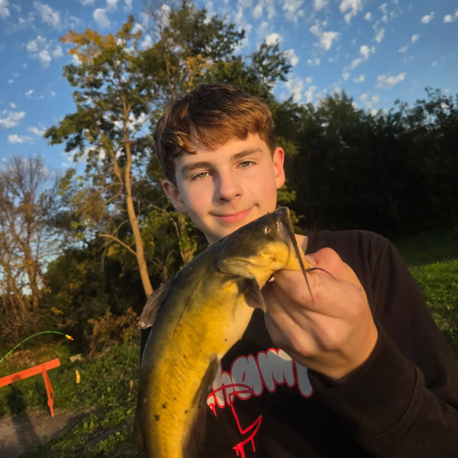 Yellow bullhead caught on Fishbrain