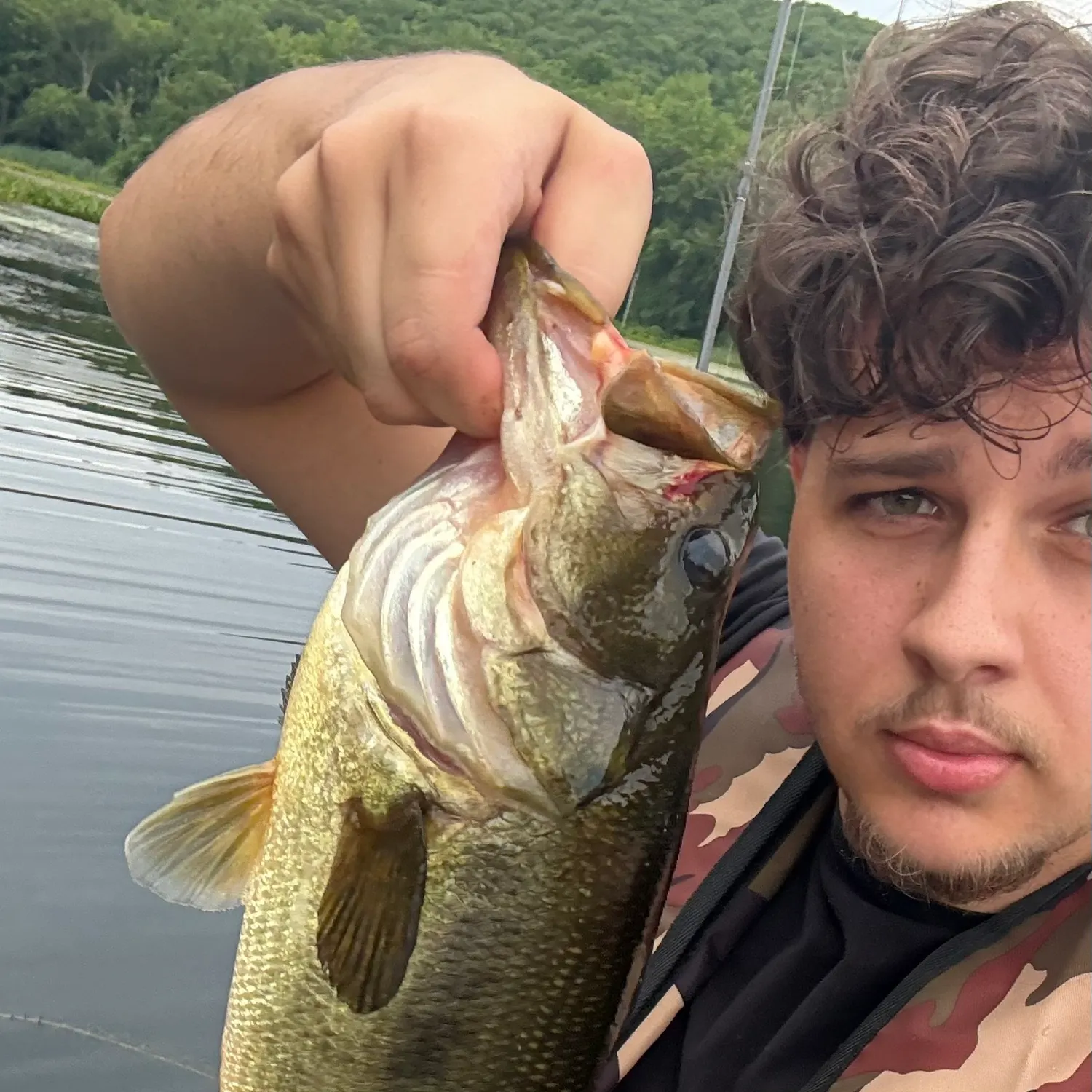 Largemouth bass caught on Fishbrain
