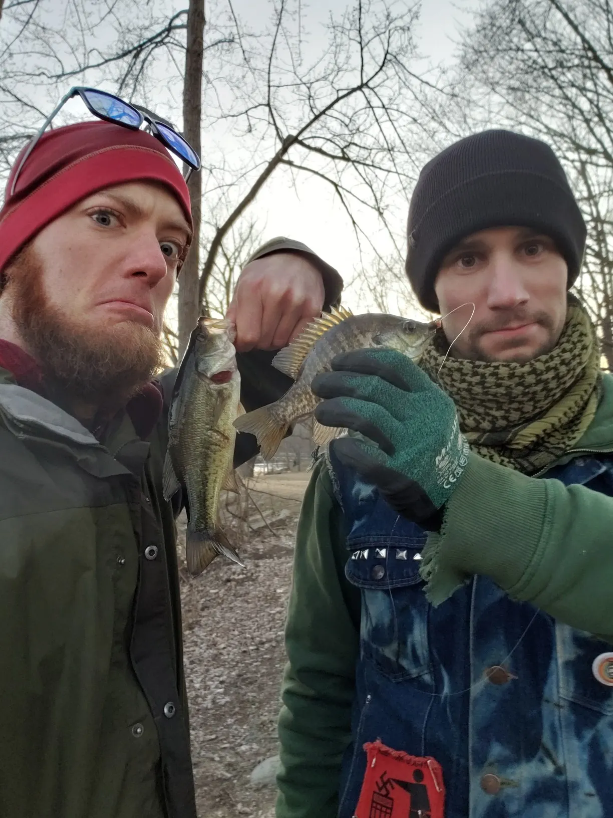 Post image from Traloneous