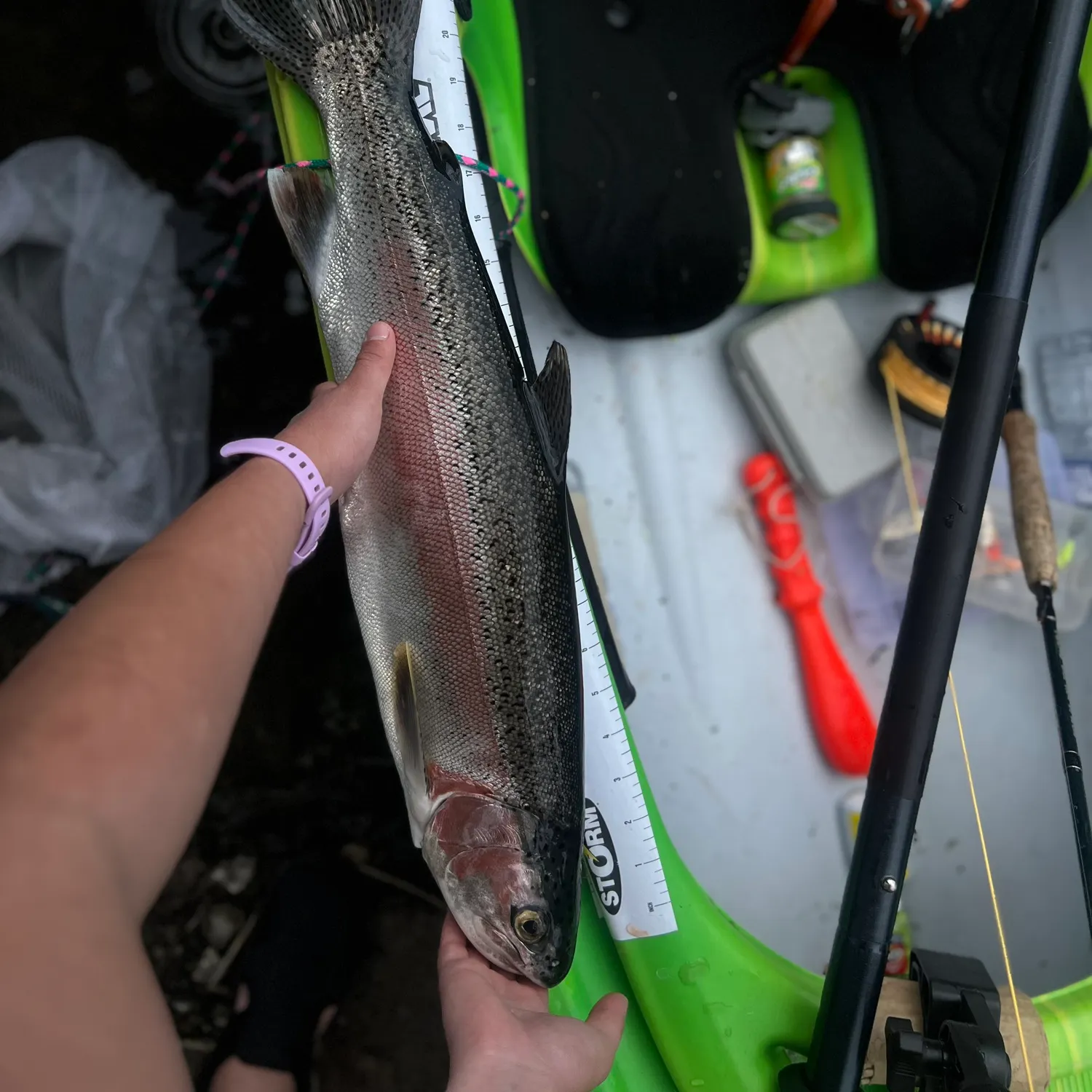 recently logged catches