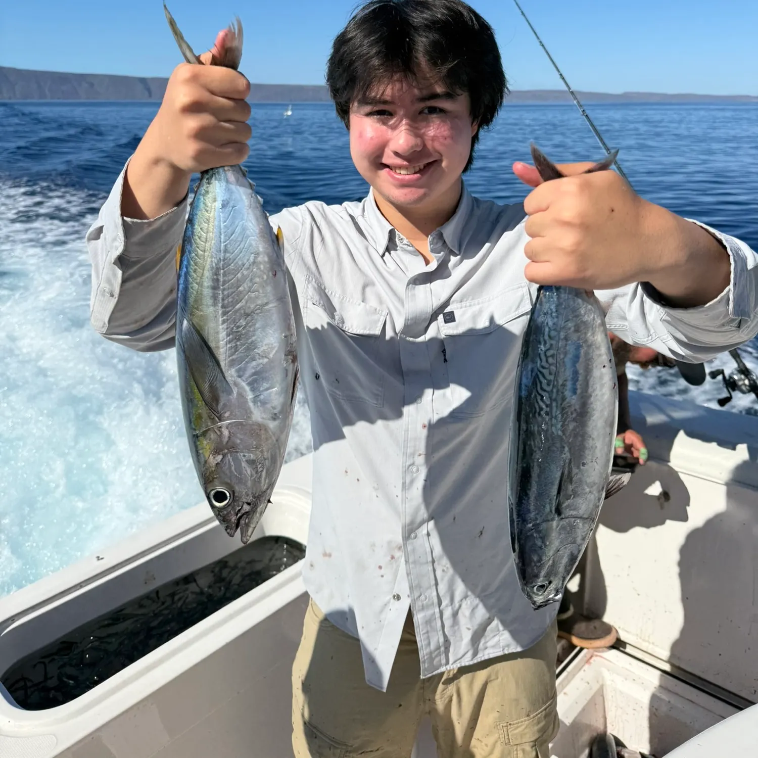 Yellowfin tuna caught on Fishbrain