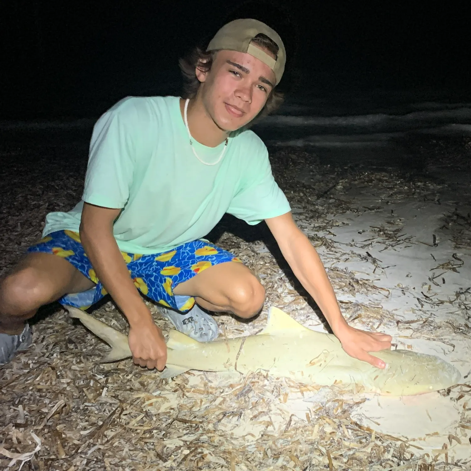 The most recent Caribbean reef shark catches on Fishbrain