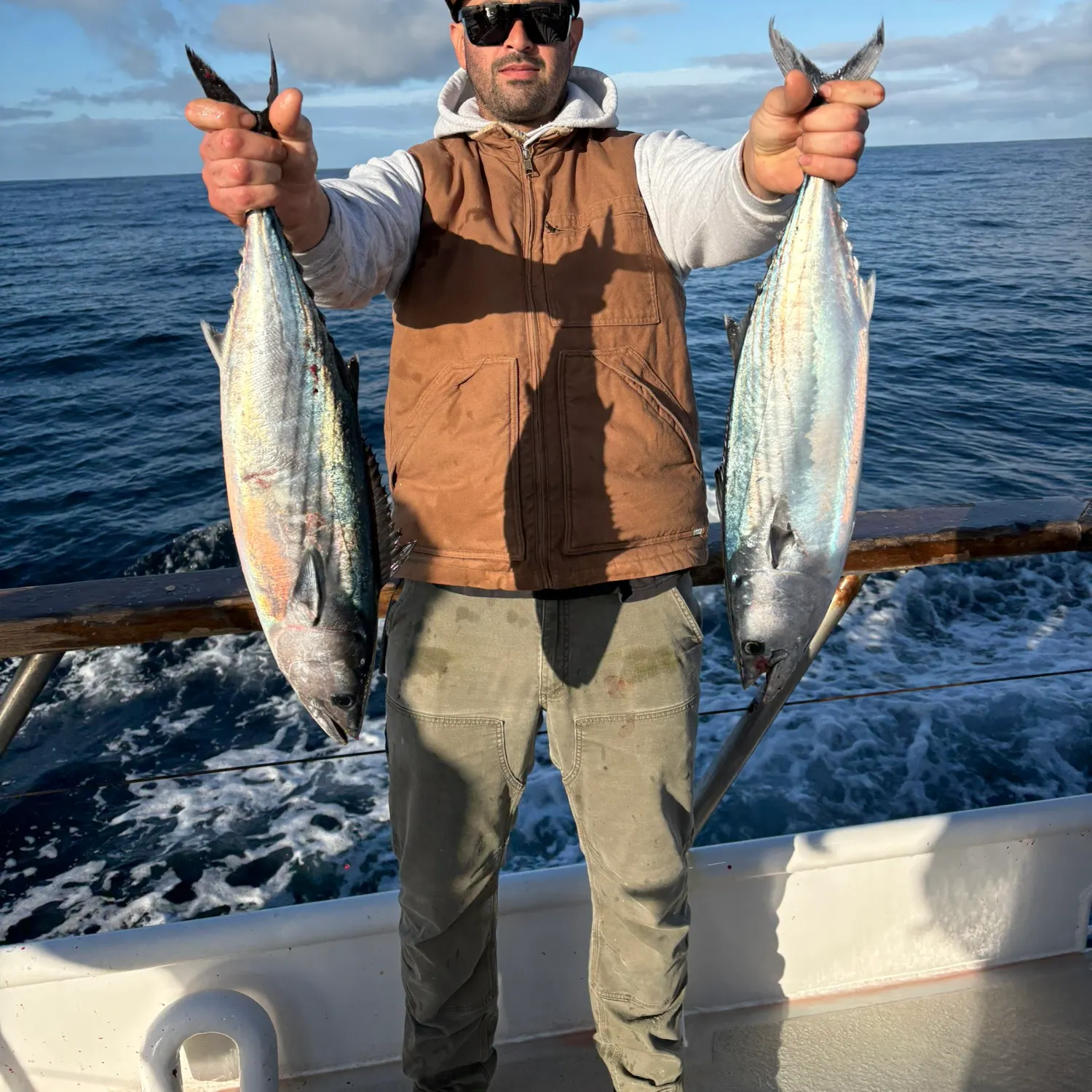 The most recent Pacific bonito catches on Fishbrain